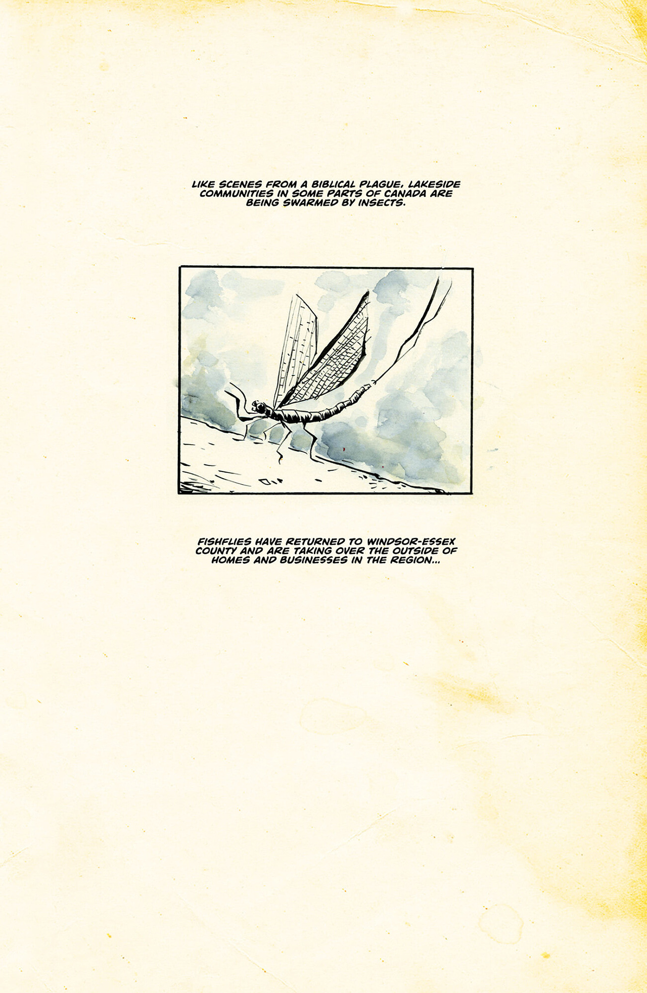 Fishflies (2023-) issue 2 - Page 46