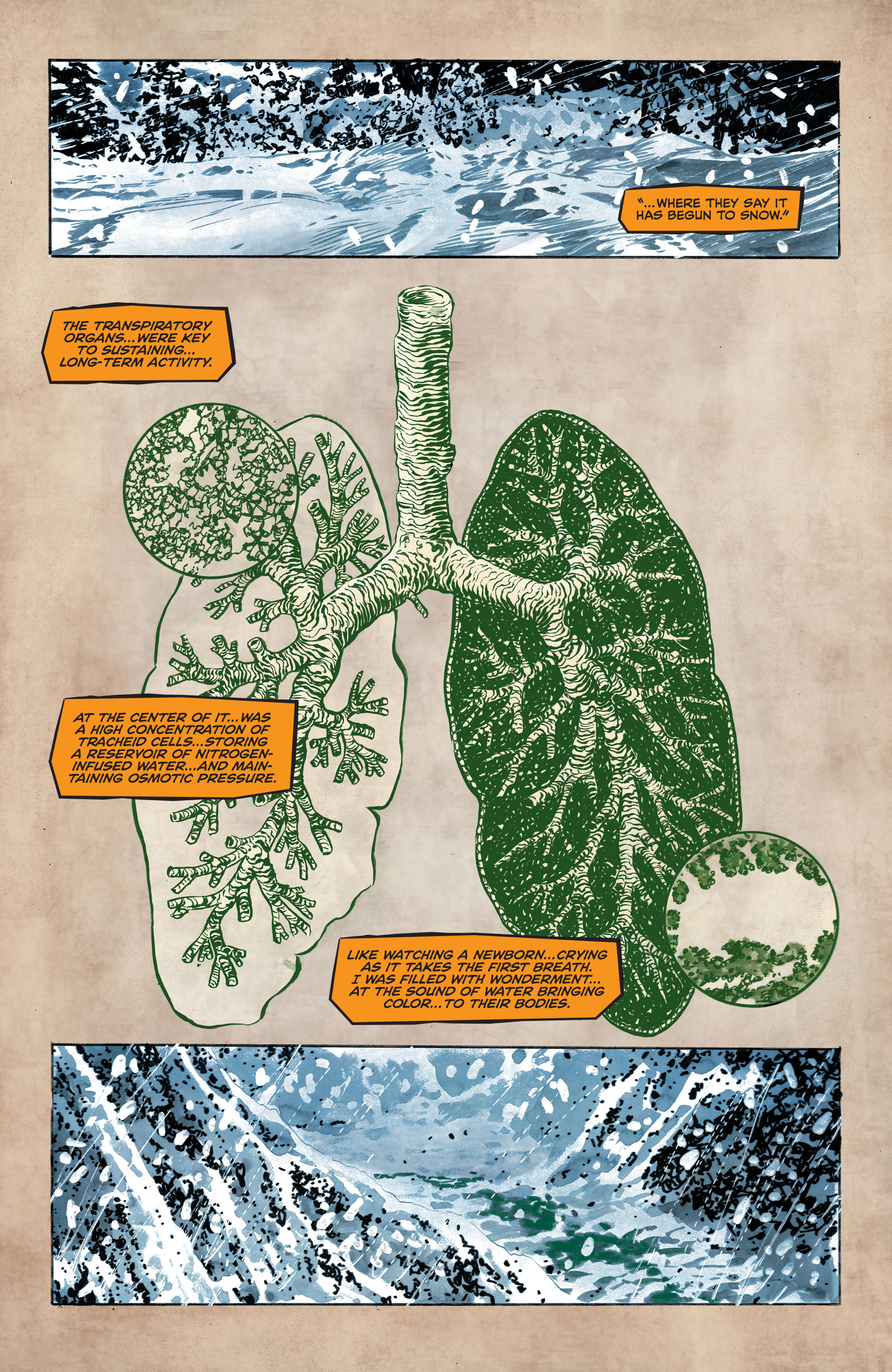 Future State: Swamp Thing (2021) issue 1 - Page 14