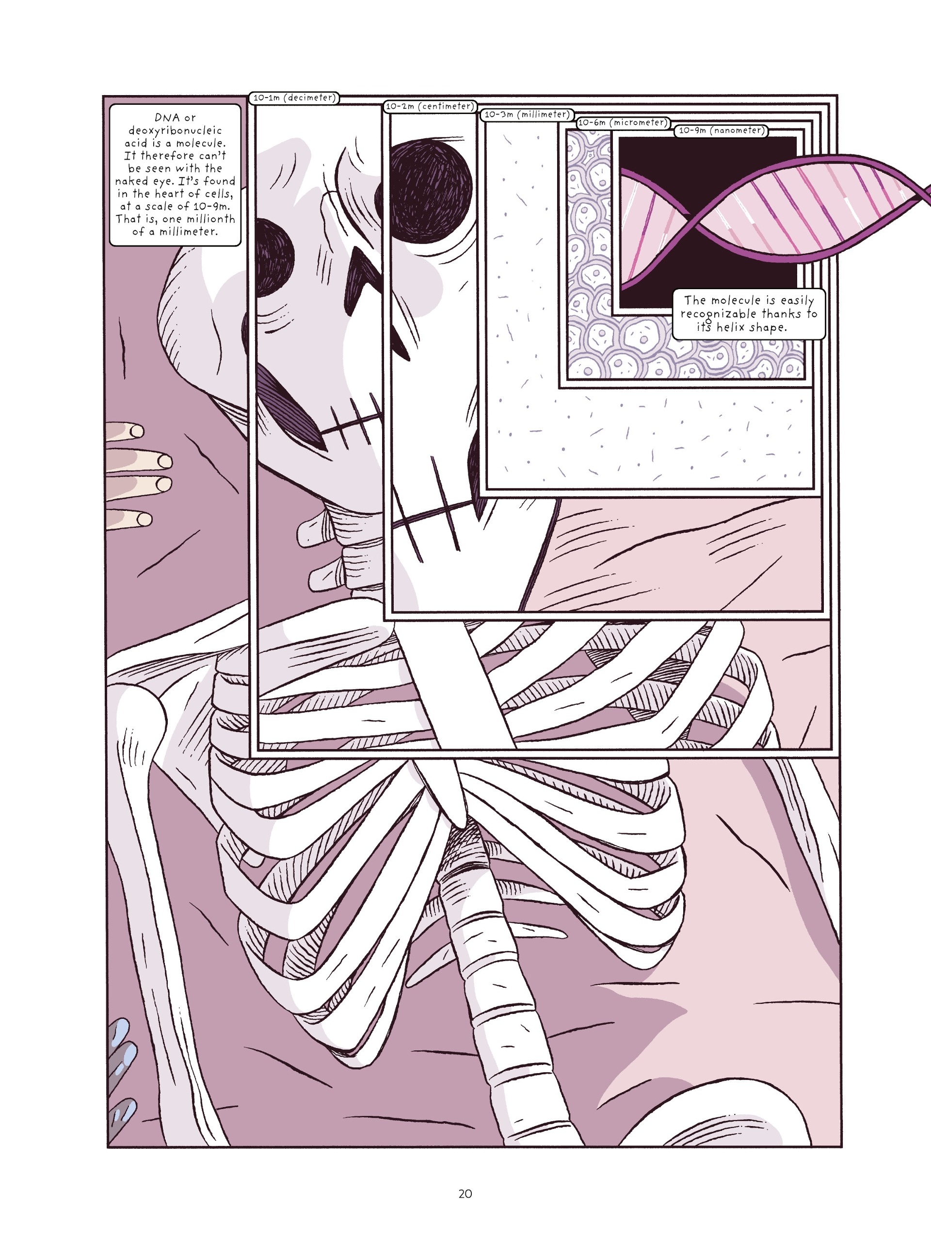 Genetics at Heart (2023): Chapter 1 - Page 20