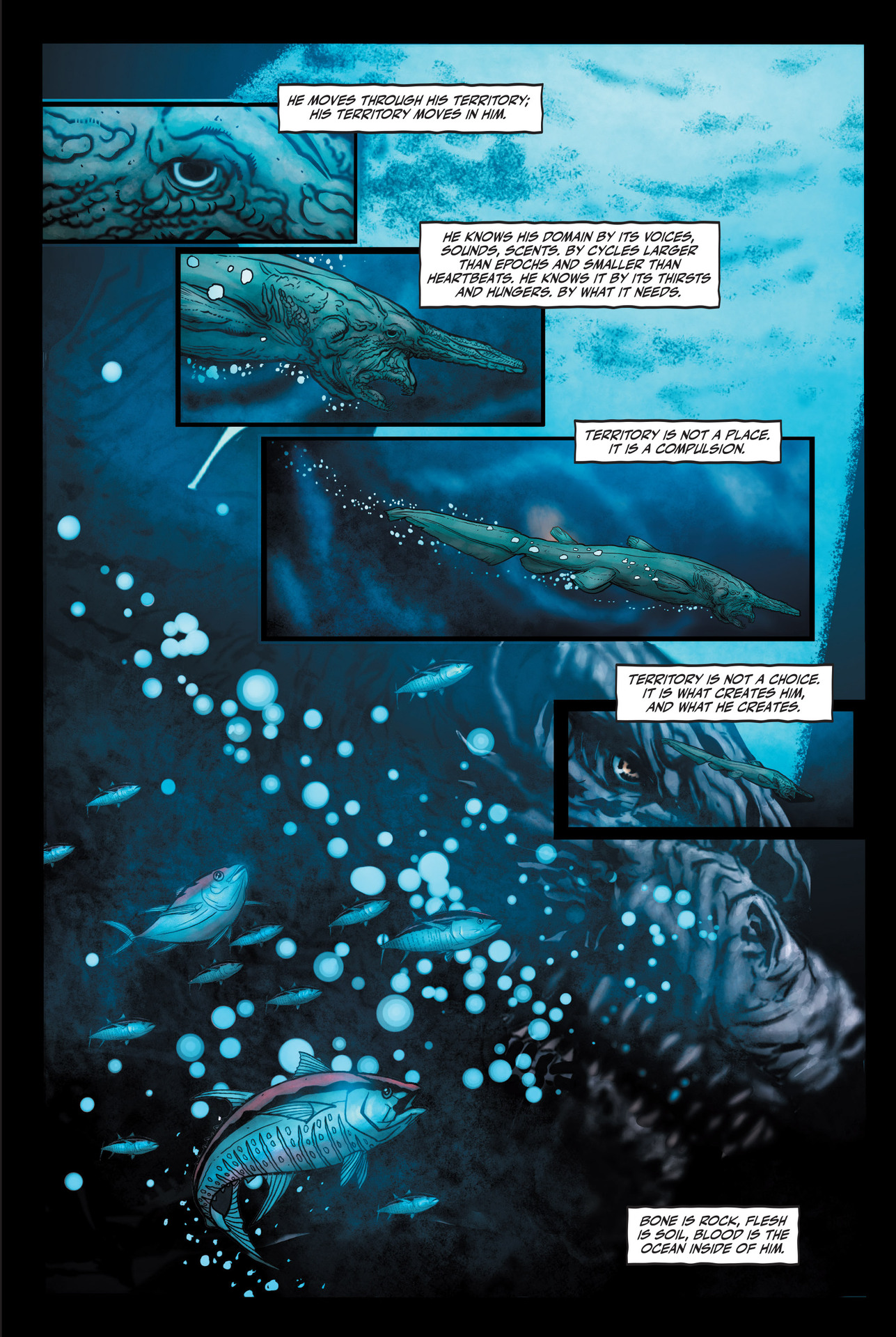 <{ $series->title }} issue GN - Page 7