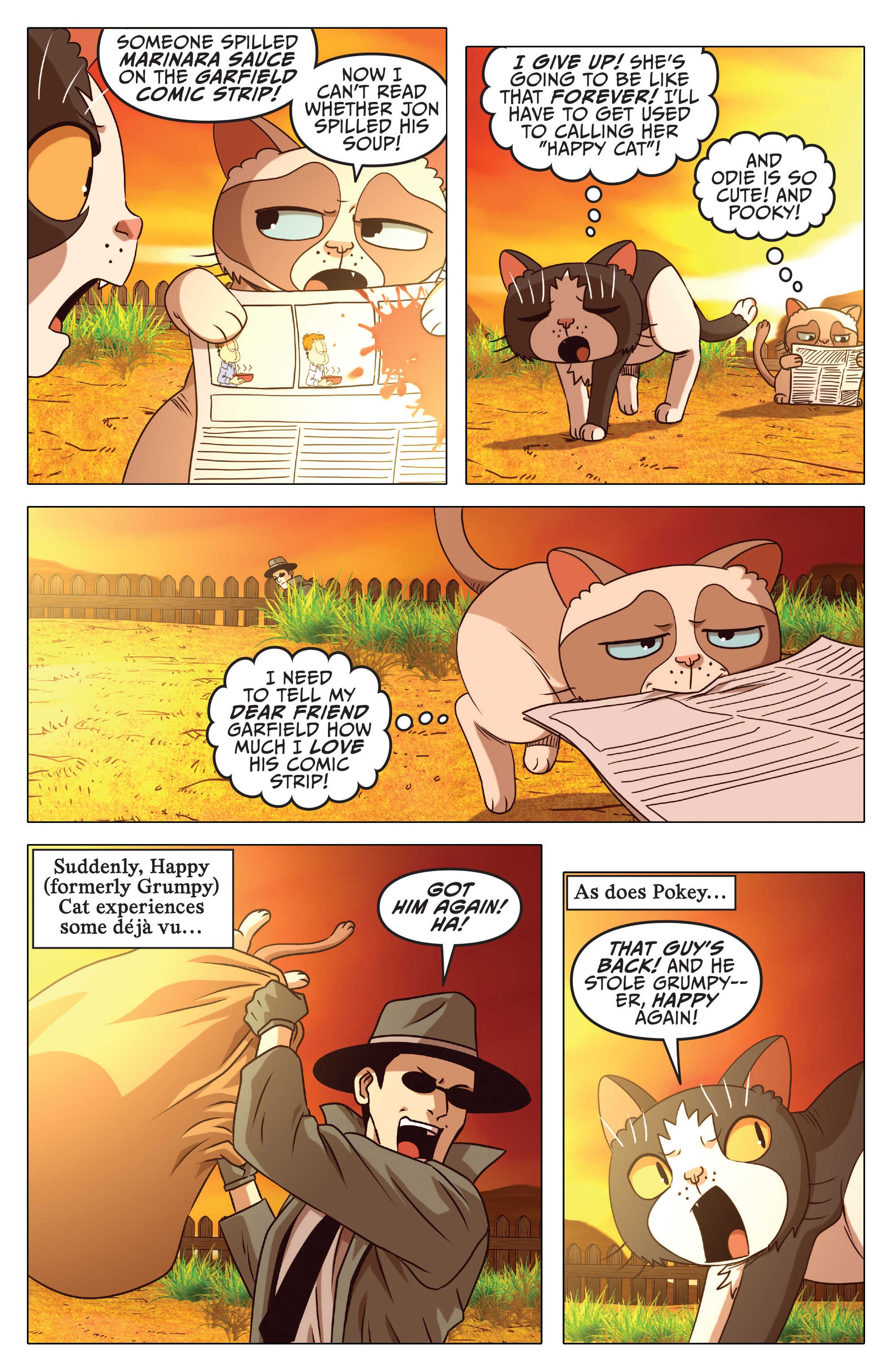 Grumpy Cat/Garfield (2017) issue 3 - Page 14