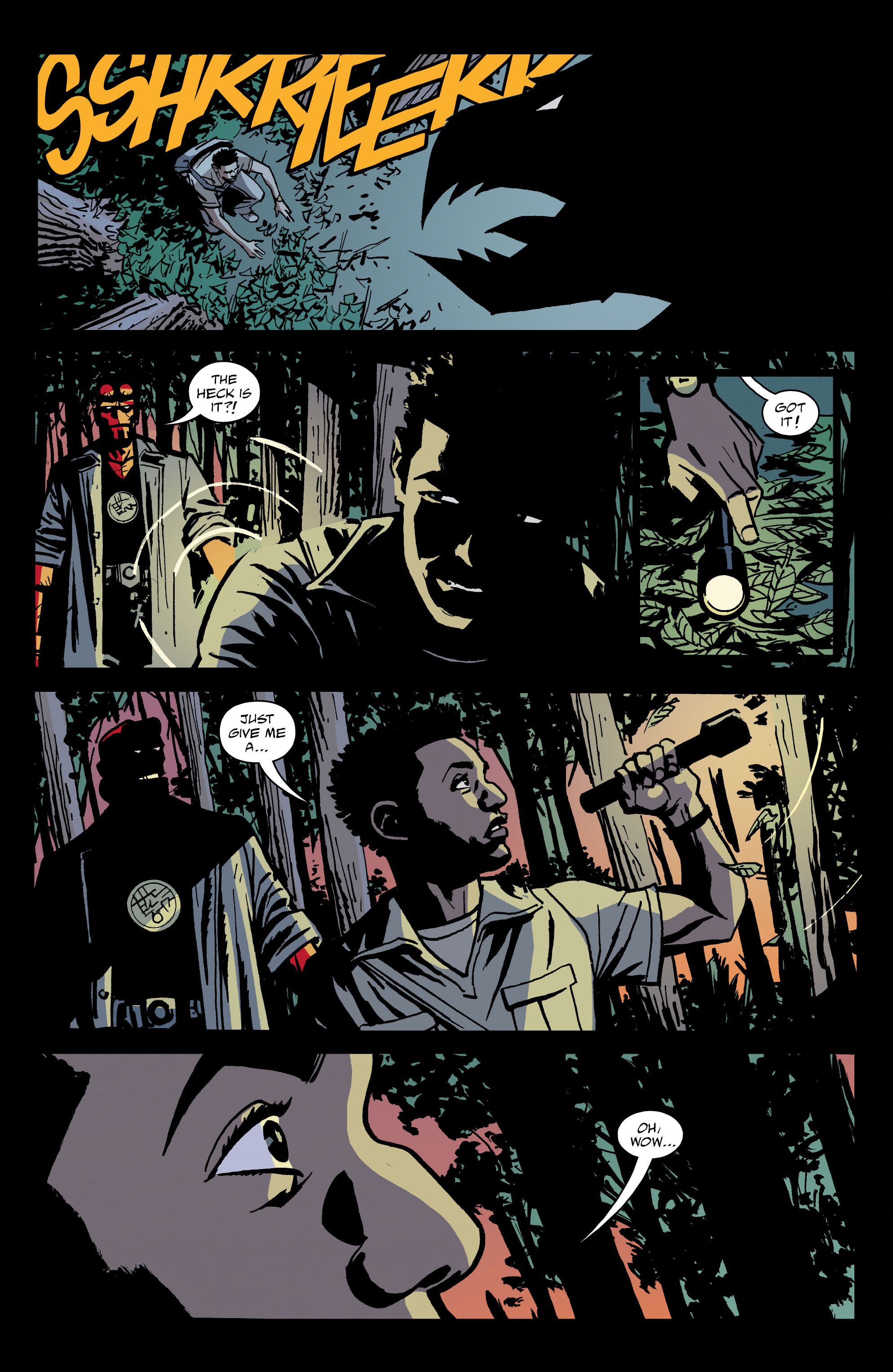 Hellboy and the B.P.R.D.: 1957 - Falling Sky (2022-) issue 1 - Page 19