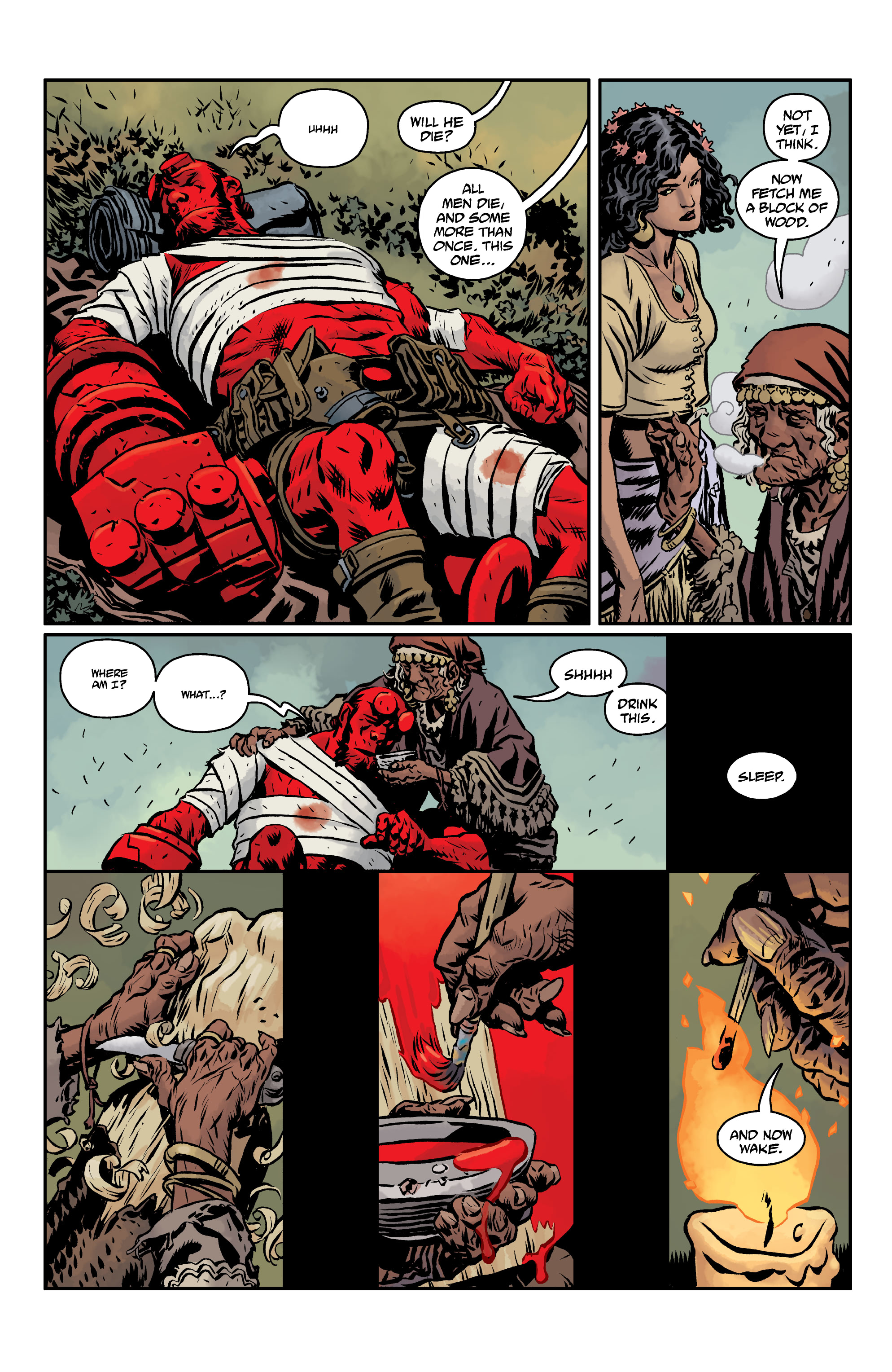 Hellboy and the B.P.R.D.: The Beast of Vargu and Others (2020) issue 1 - Page 17