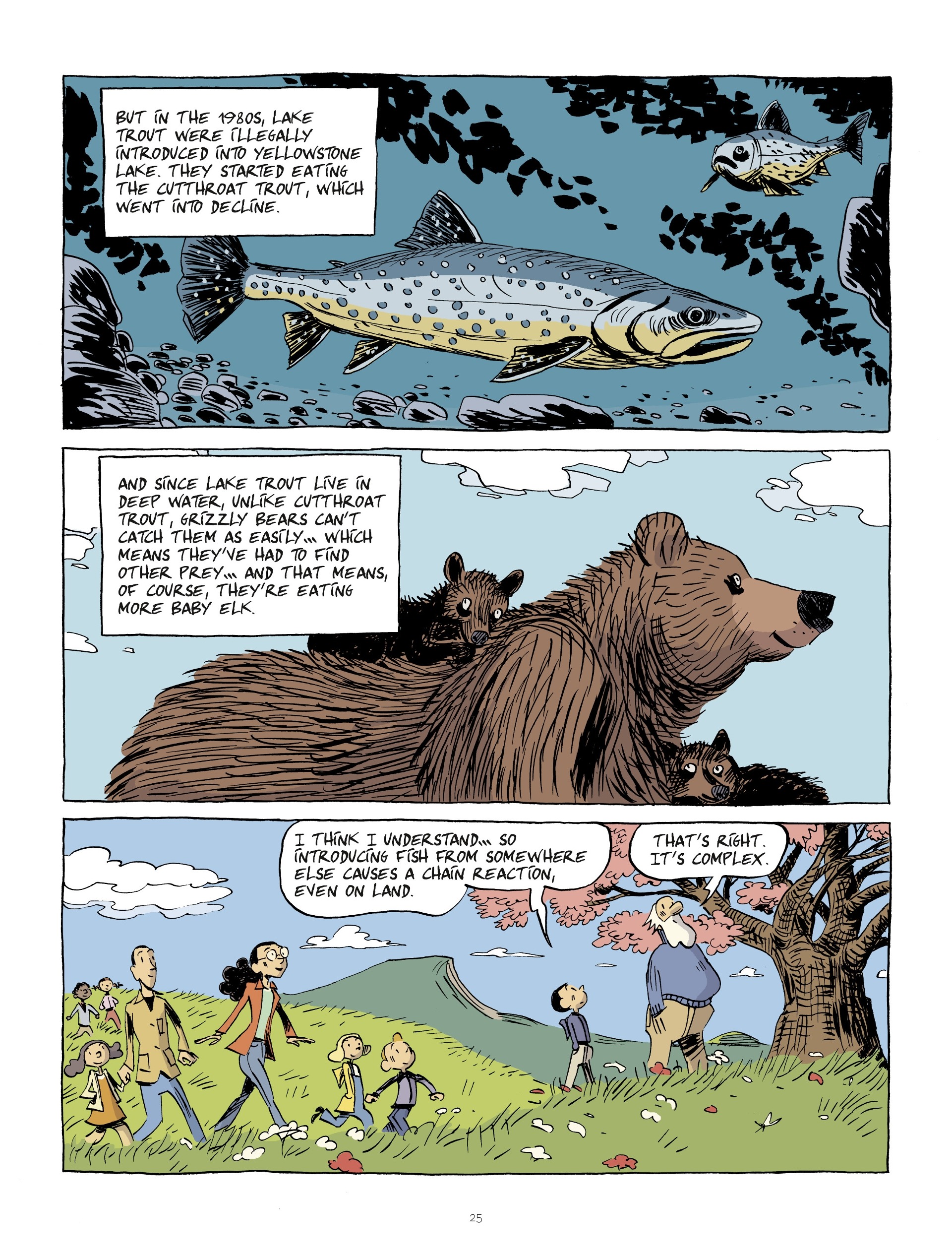 Hubert Reeves Explains (2019-) issue 1 - Page 25