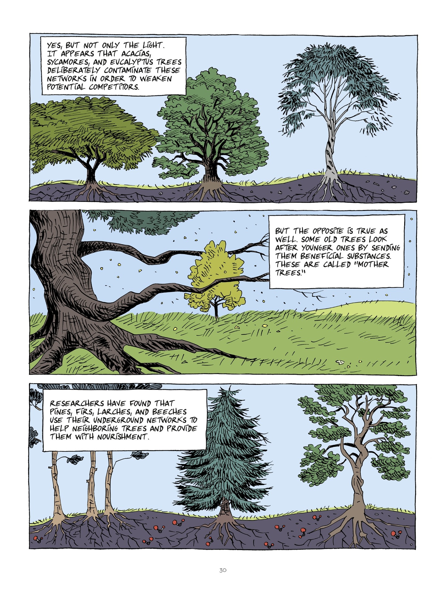 Hubert Reeves Explains (2019-) issue 2 - Page 29