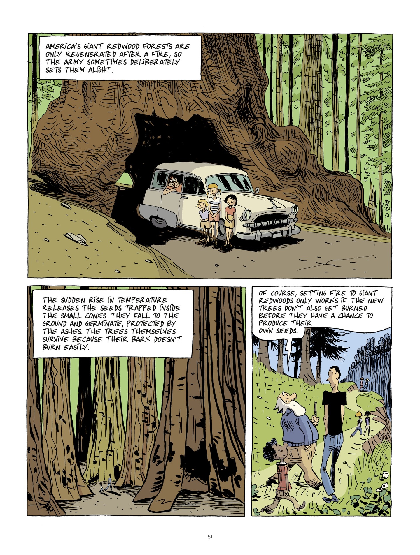 Hubert Reeves Explains (2019-) issue 2 - Page 50