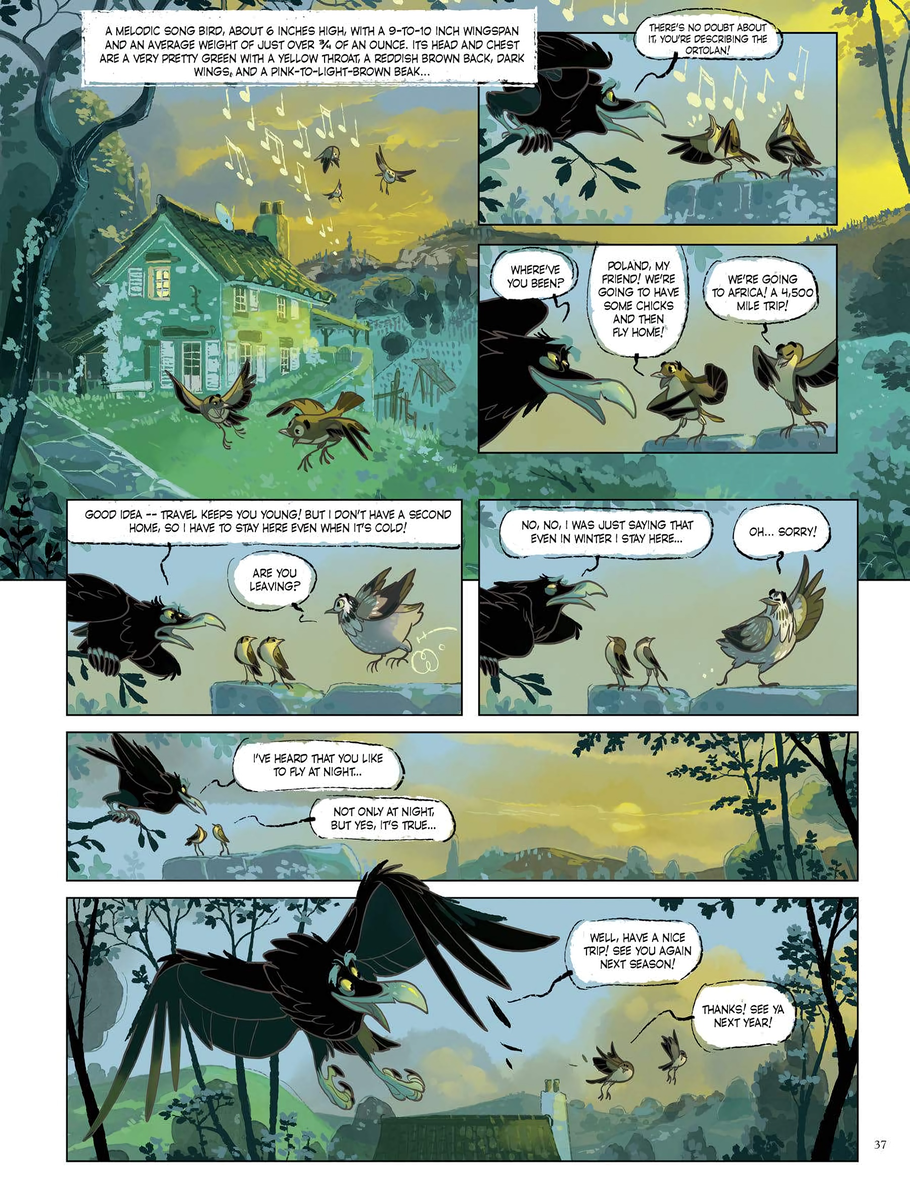 Letters from Animals (2021) issue 1 - Page 38