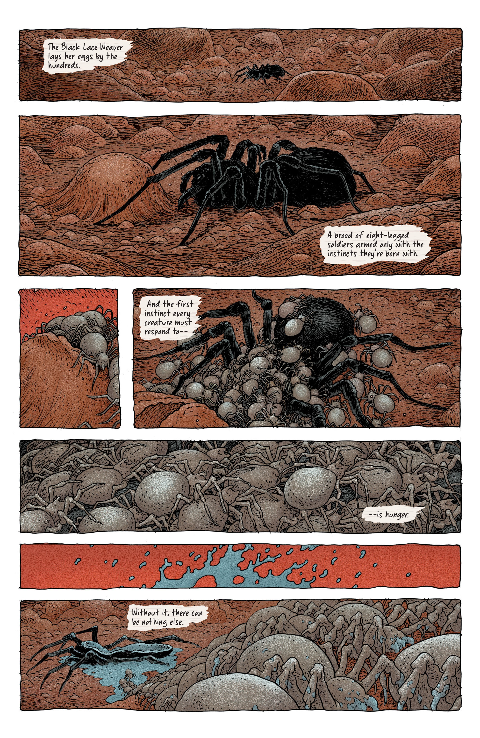 Little Bird (2019-) issue 4 - Page 4