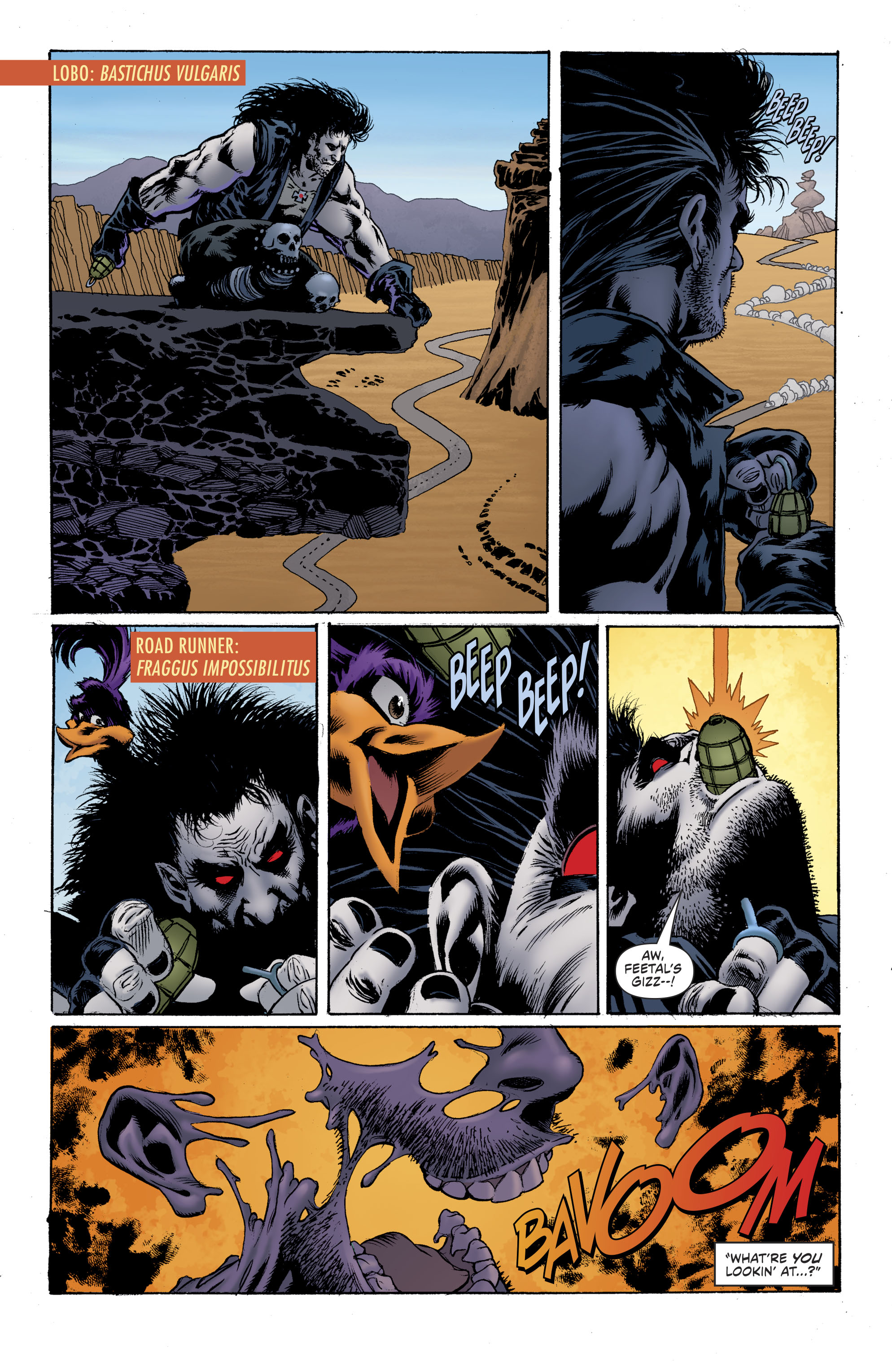 Lobo/Road Runner Special (2017): Chapter 1 - Page 26