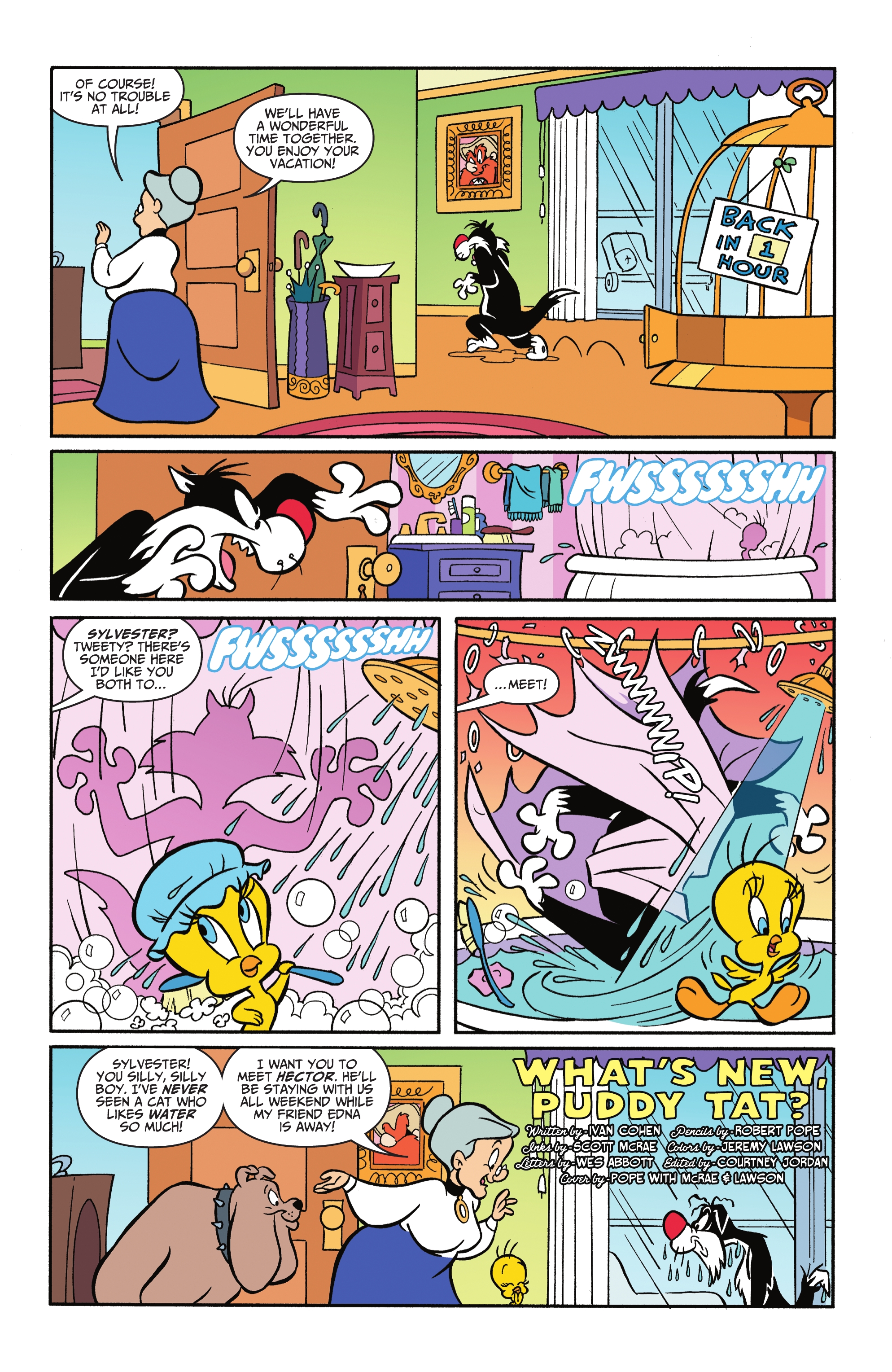 Looney Tunes (1994-): Chapter 271 - Page 2
