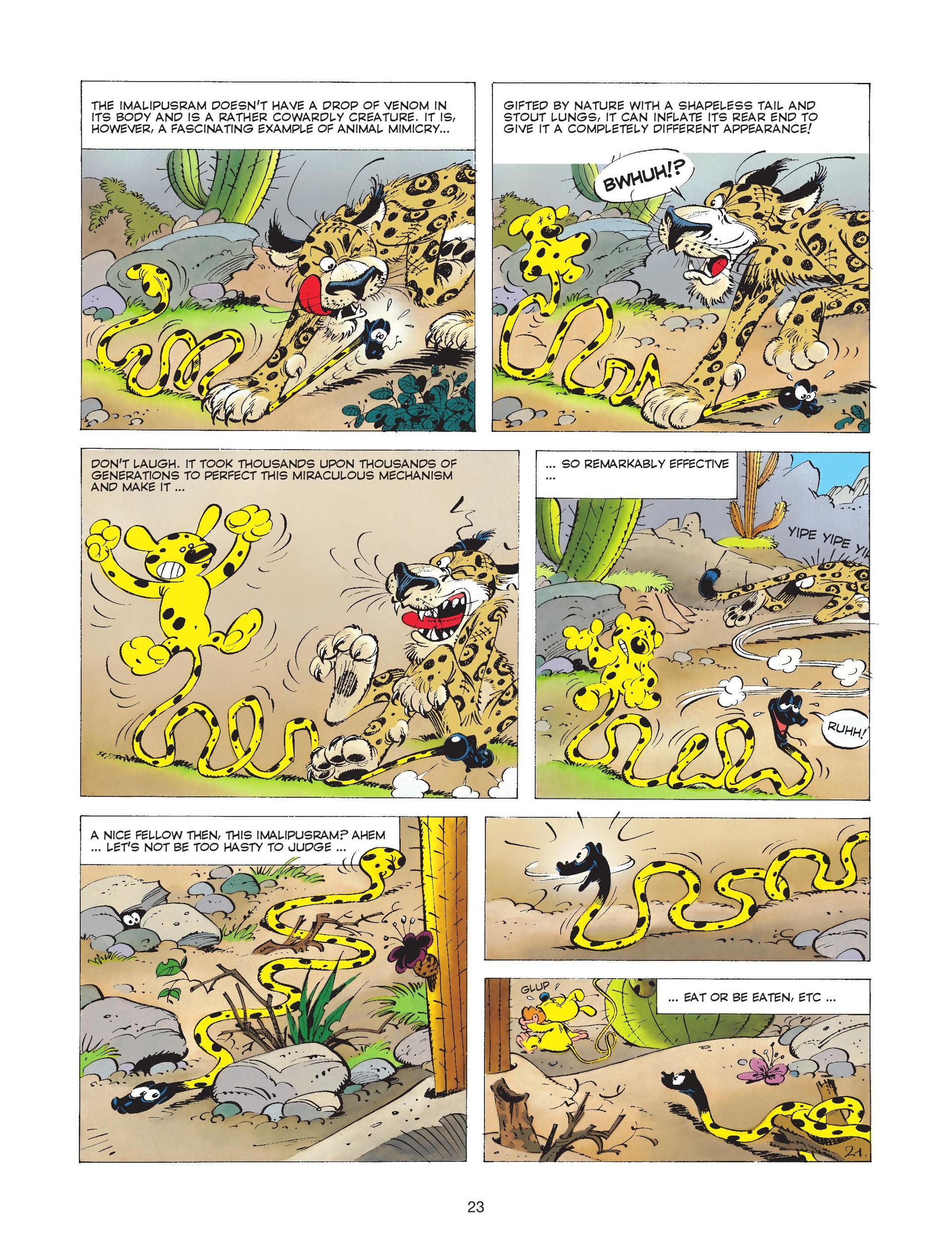 Marsupilami (2017-) issue 4 - Page 25