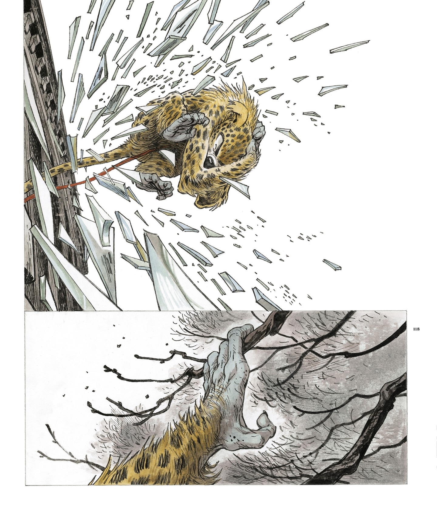 Marsupilami: The Beast (2021) issue 1 - Page 115