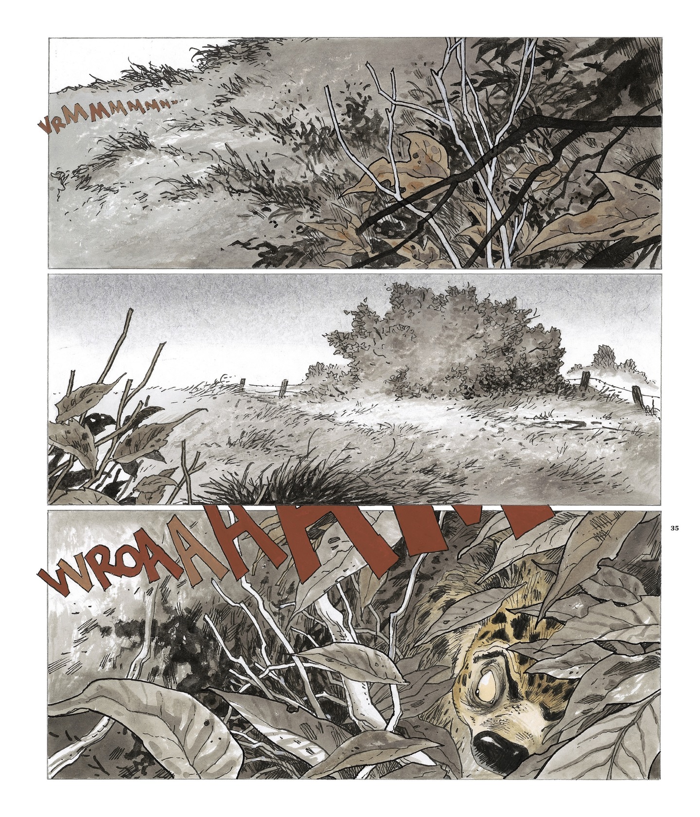 Marsupilami: The Beast (2021) issue 1 - Page 33