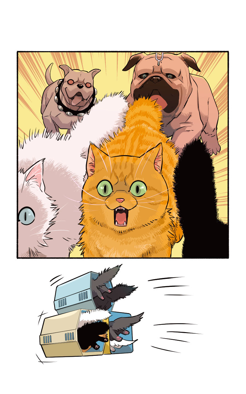 Marvel Meow Infinity Comic (2022) issue 4 - Page 7