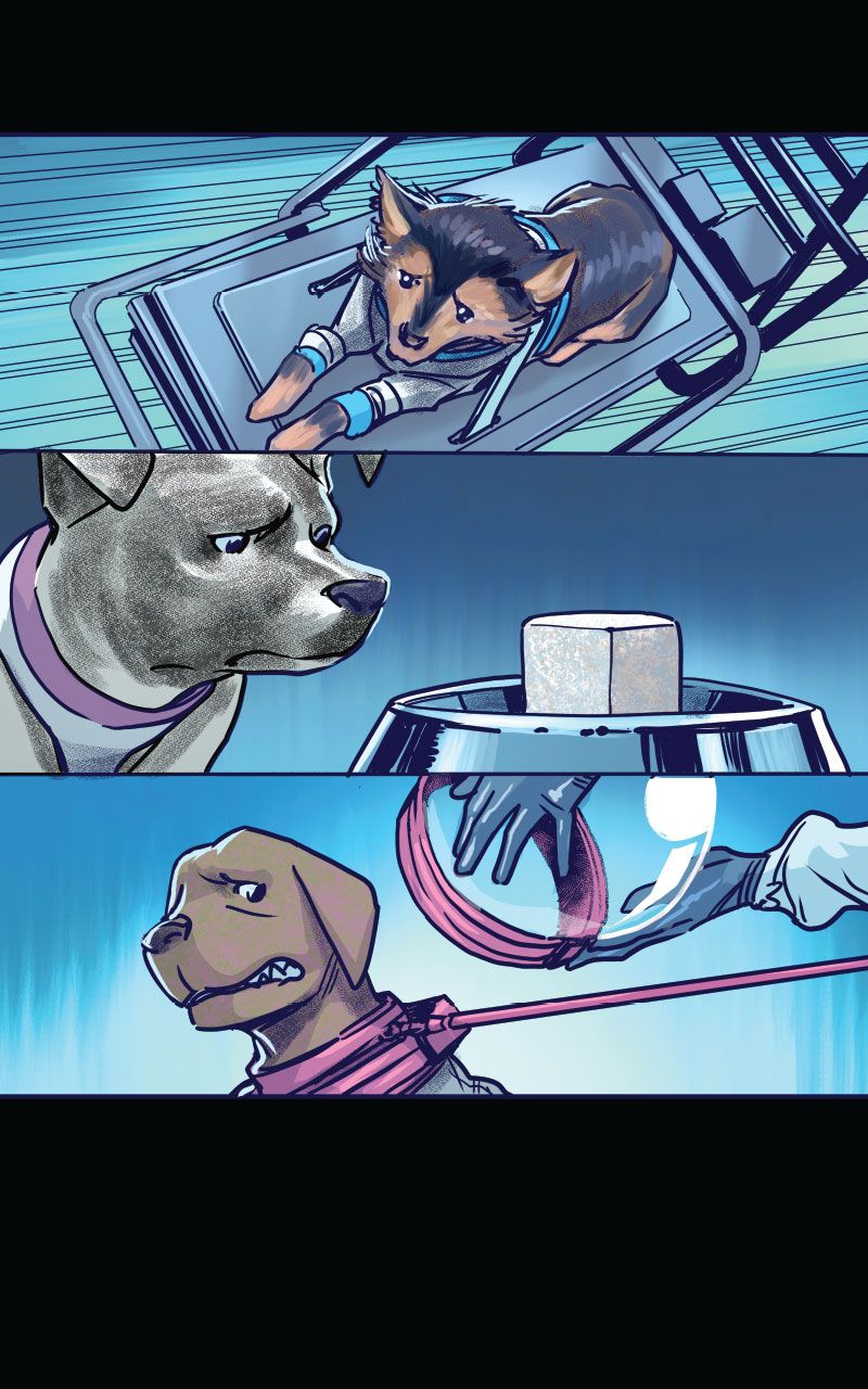 Marvel Mutts Infinity Comic (2023-) issue 10 - Page 12