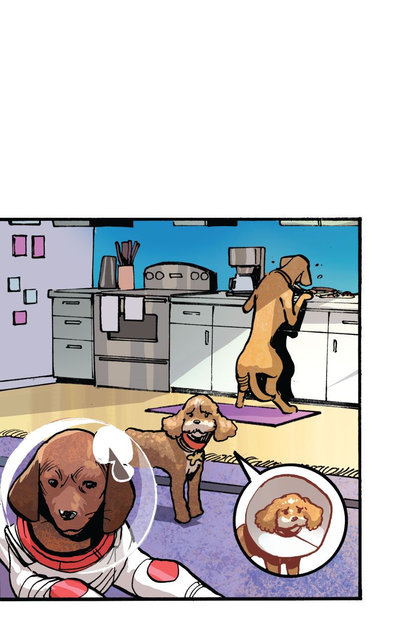 Marvel Mutts Infinity Comic (2023-) issue 2 - Page 11