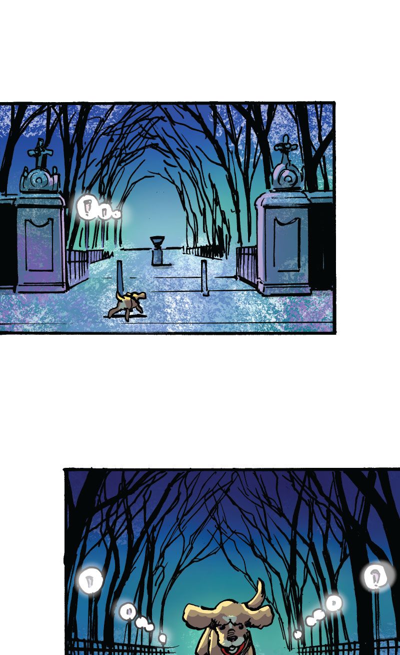 Marvel Mutts Infinity Comic (2023-) issue 5 - Page 12