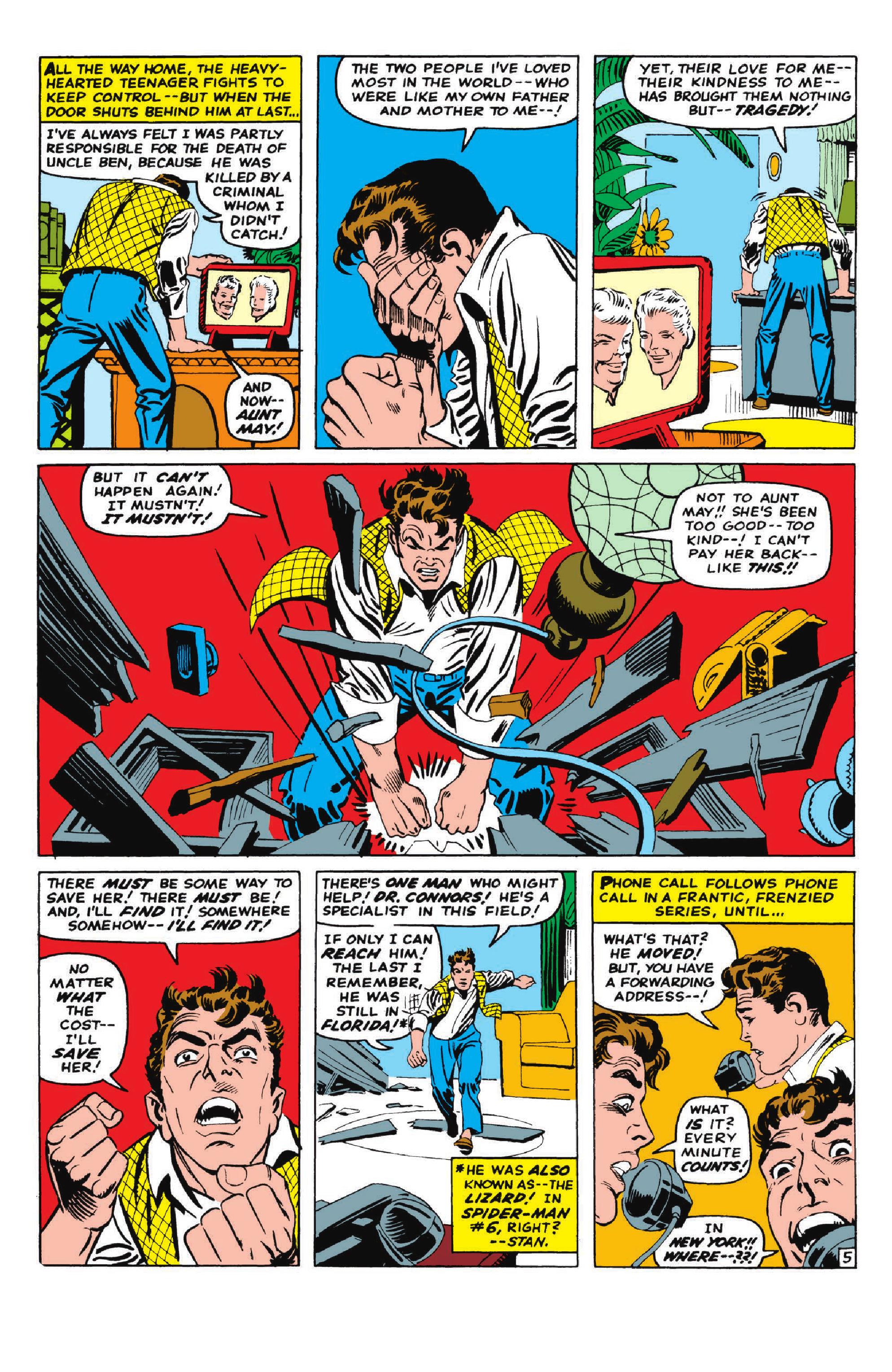 Marvel Visionaries: Steve Ditko (2005) issue 1 - Page 209