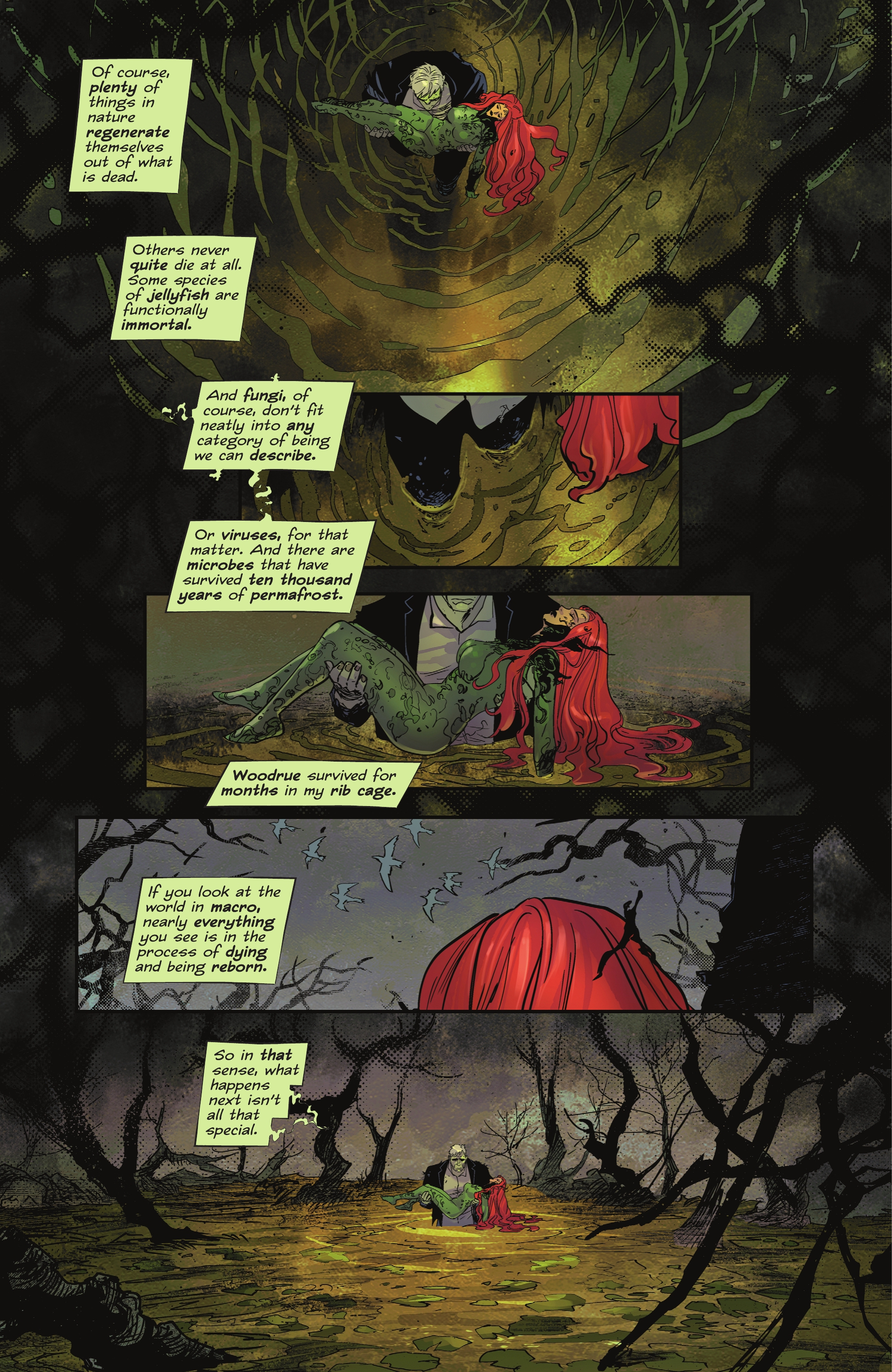 <{ $series->title }} issue 24 - Page 6