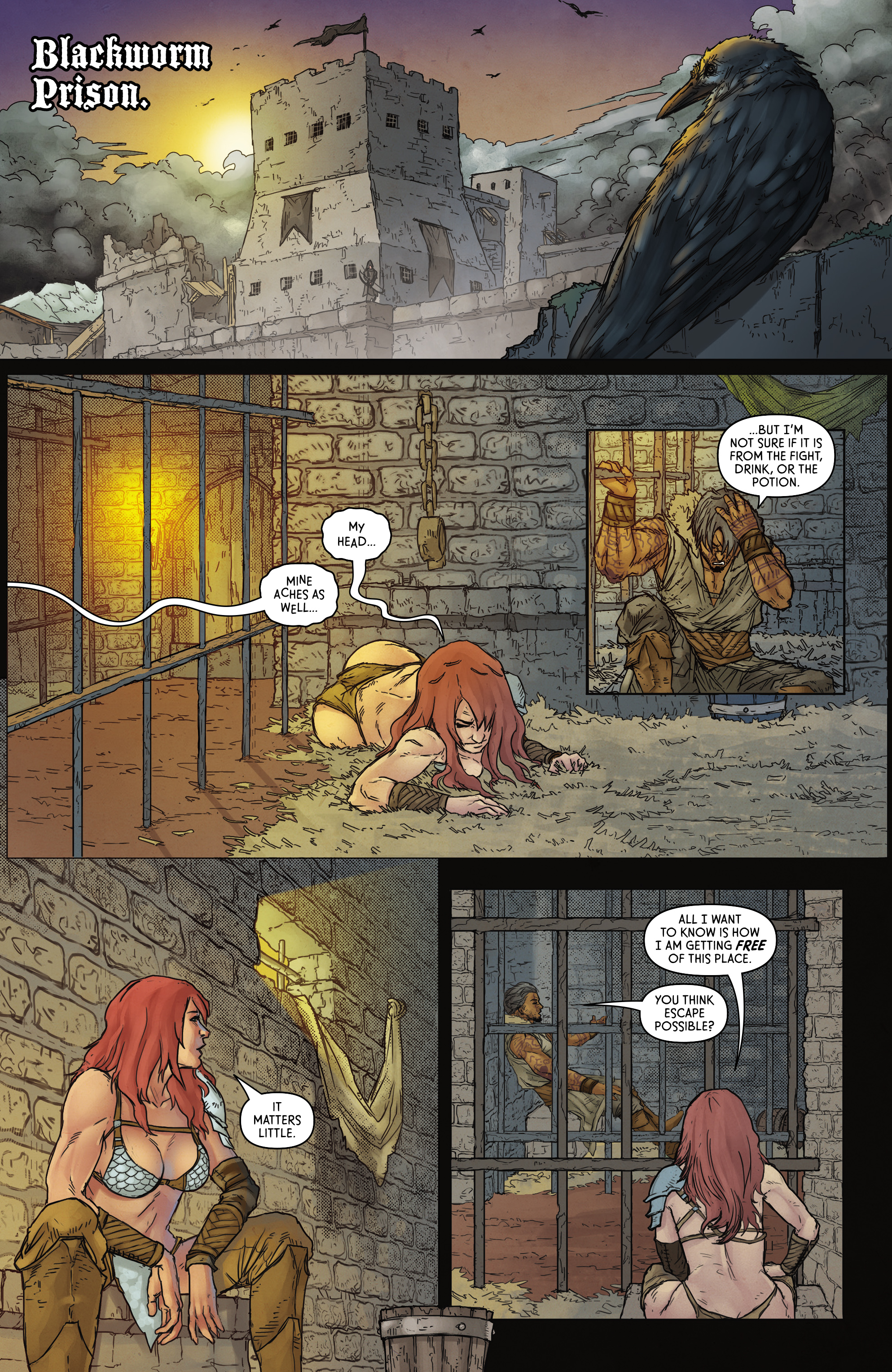 Red Sonja: Empire of the Damned (2024-) issue 1 - Page 16