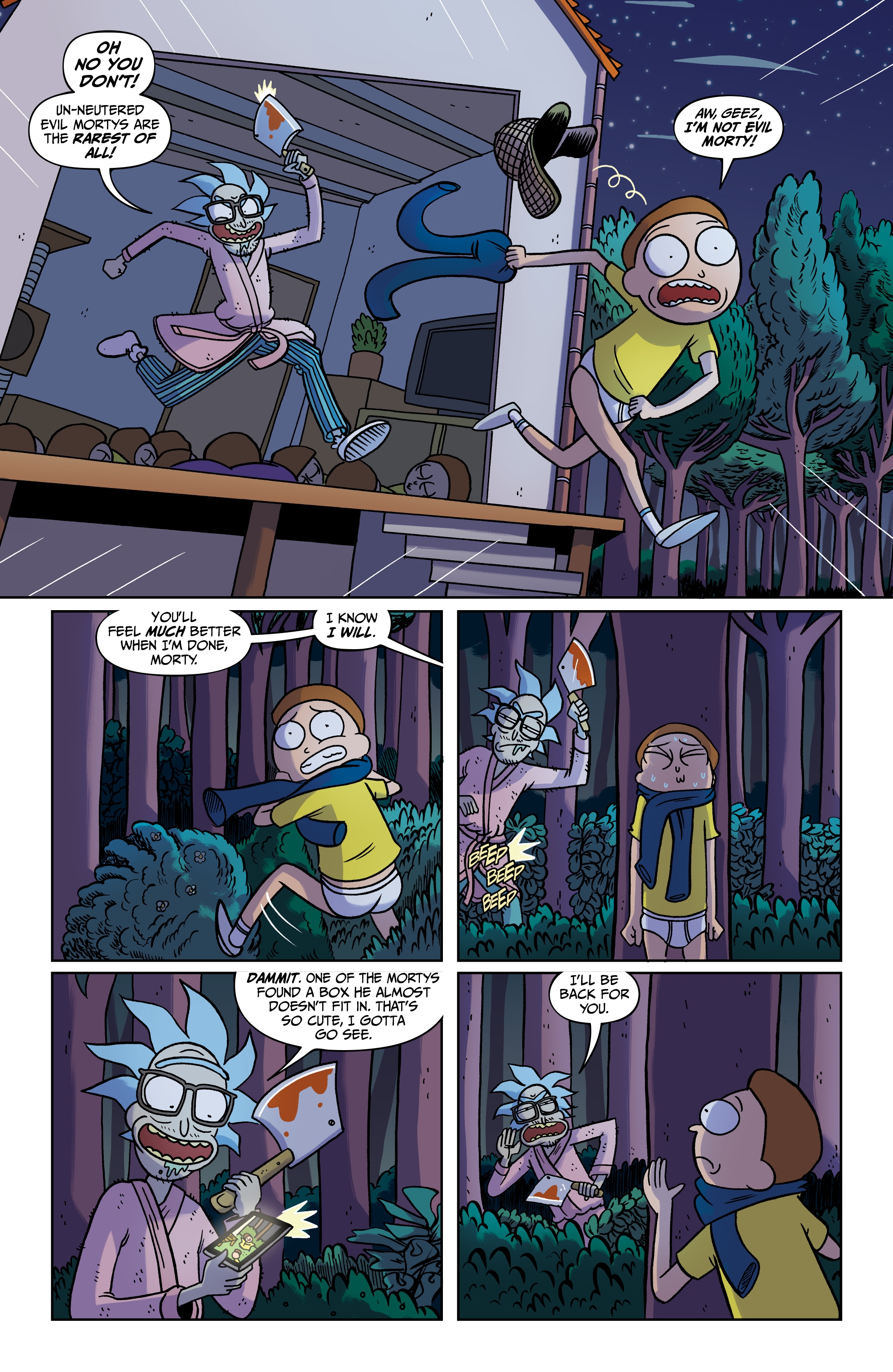 Rick and Morty: Pocket Like You Stole It (2017) issue 2 - Page 13