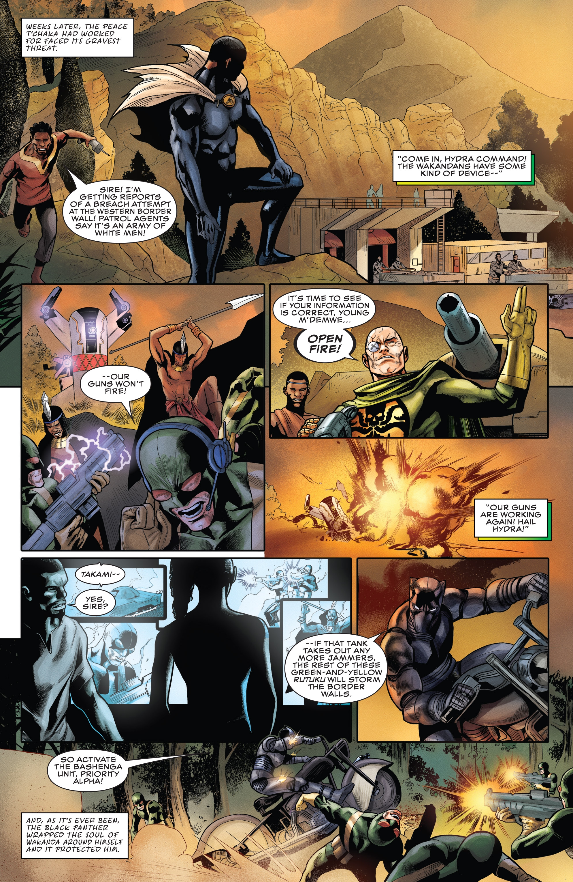 Rise of the Black Panther (2018) issue 1 - Page 14