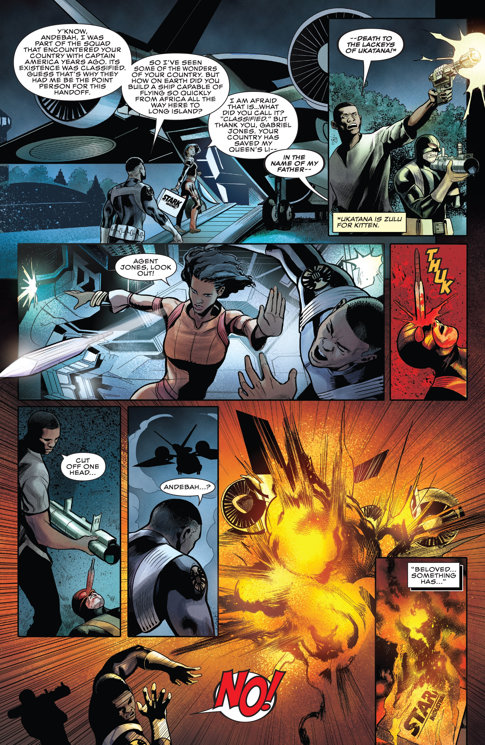 Rise of the Black Panther (2018) issue 1 - Page 18