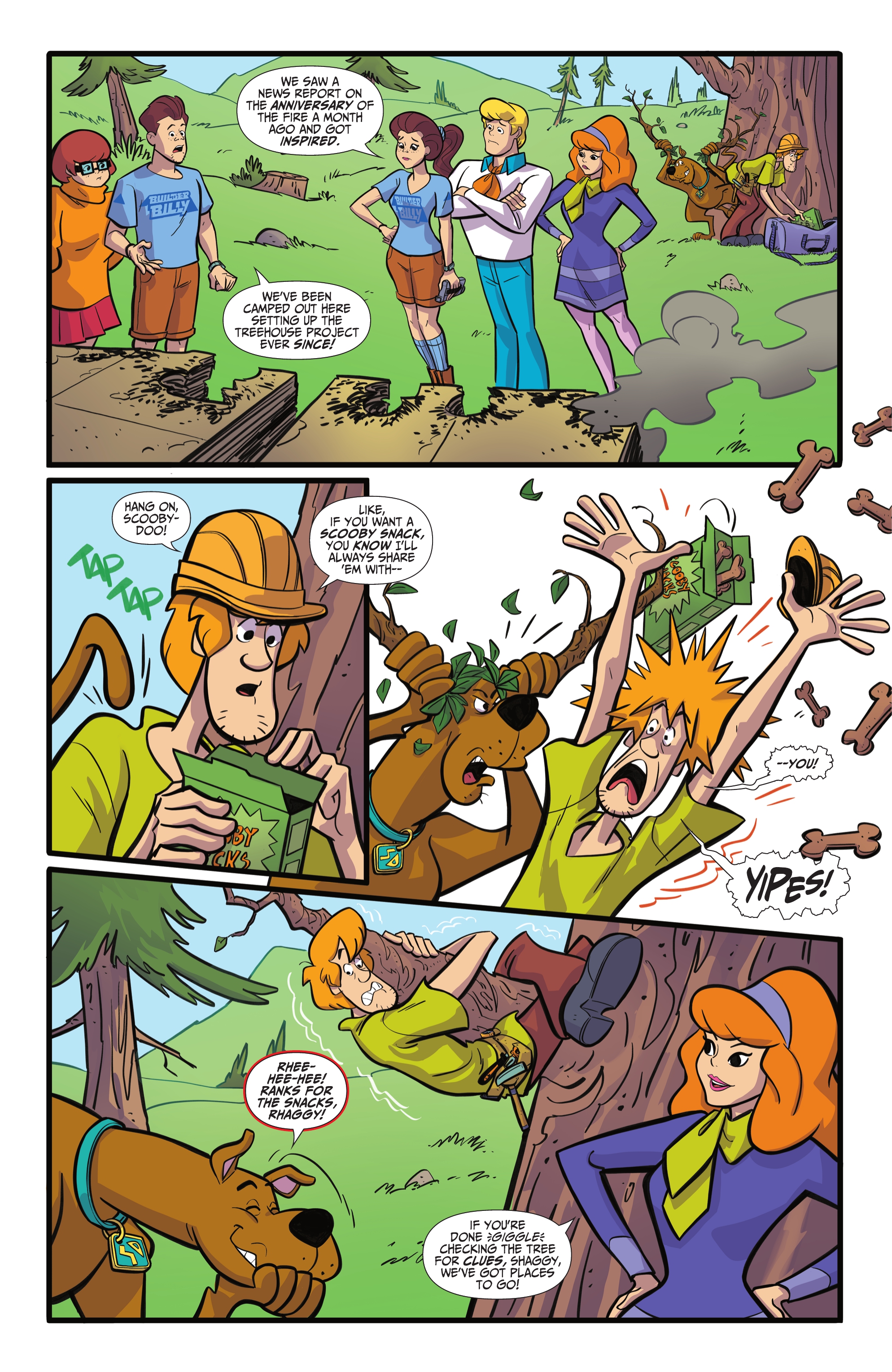 Scooby-Doo, Where Are You? (2010-) issue 113 - Page 5