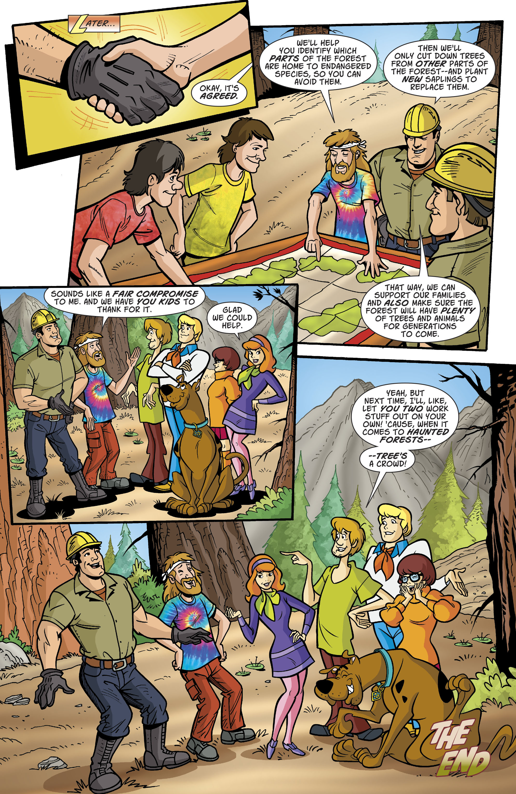 Scooby-Doo, Where Are You? (2010-) issue 87 - Page 11