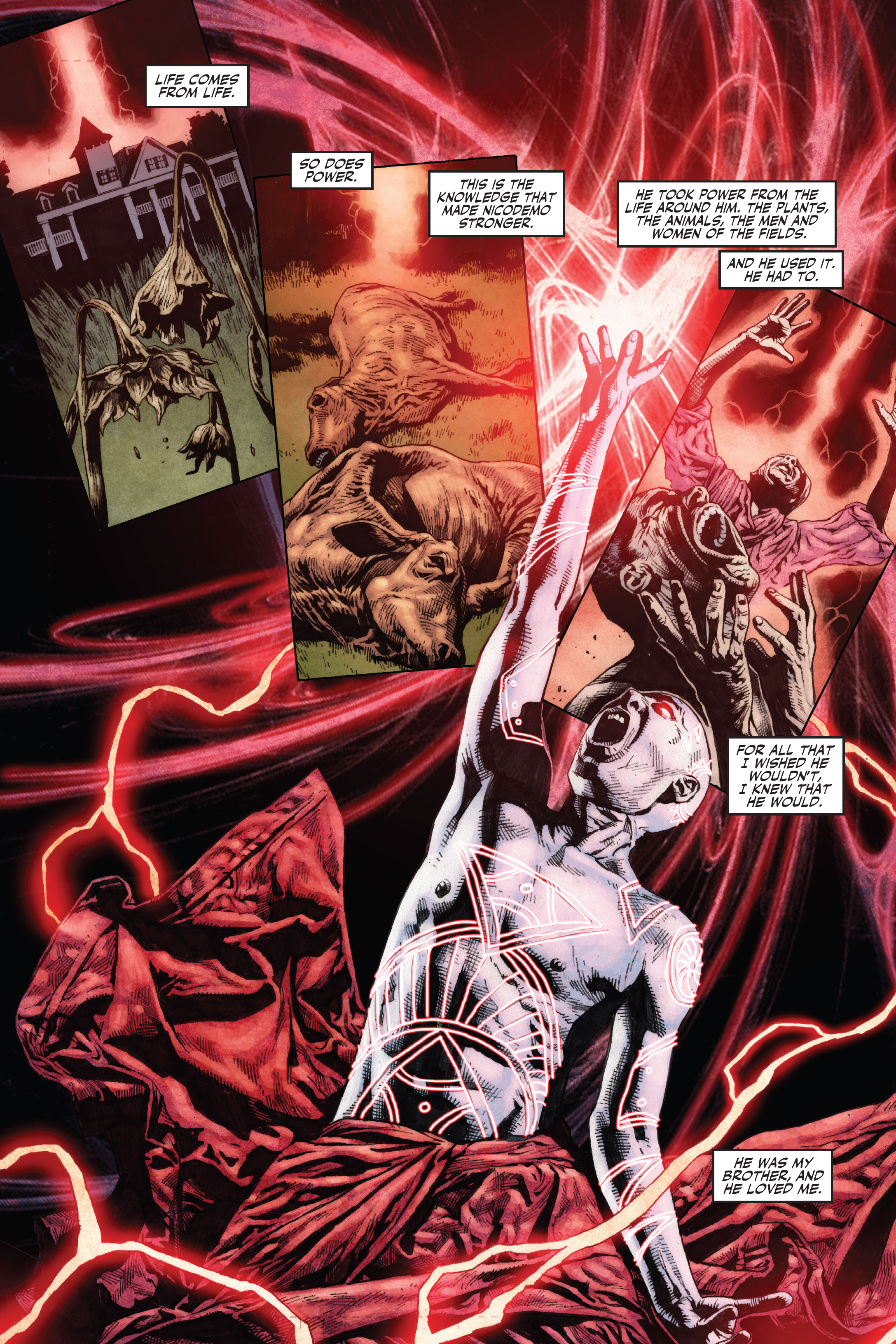 Shadowman Deluxe Edition (2014-) issue Book 1 - Page 244