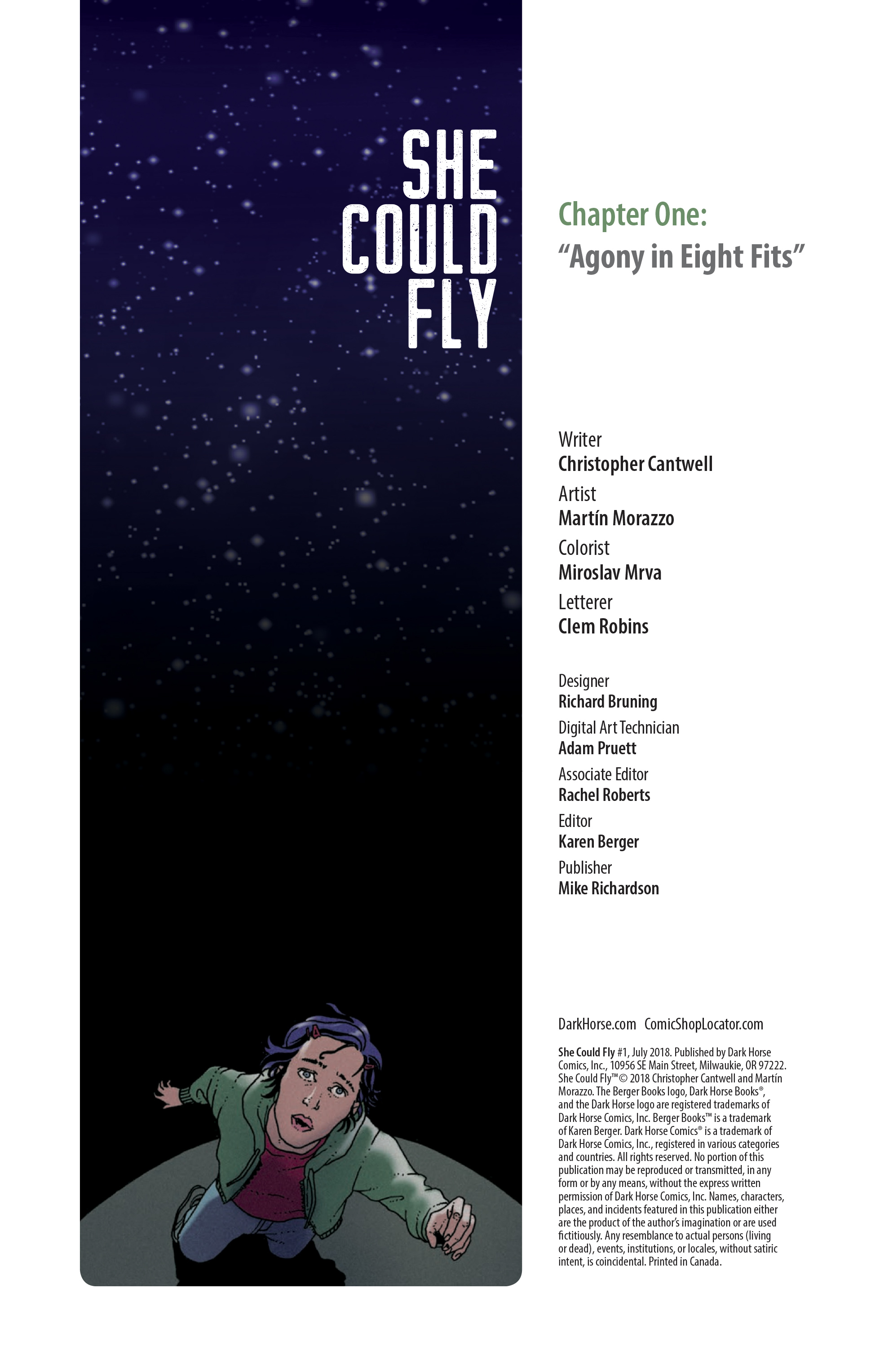 She Could Fly (2018-): Chapter 1 - Page 2