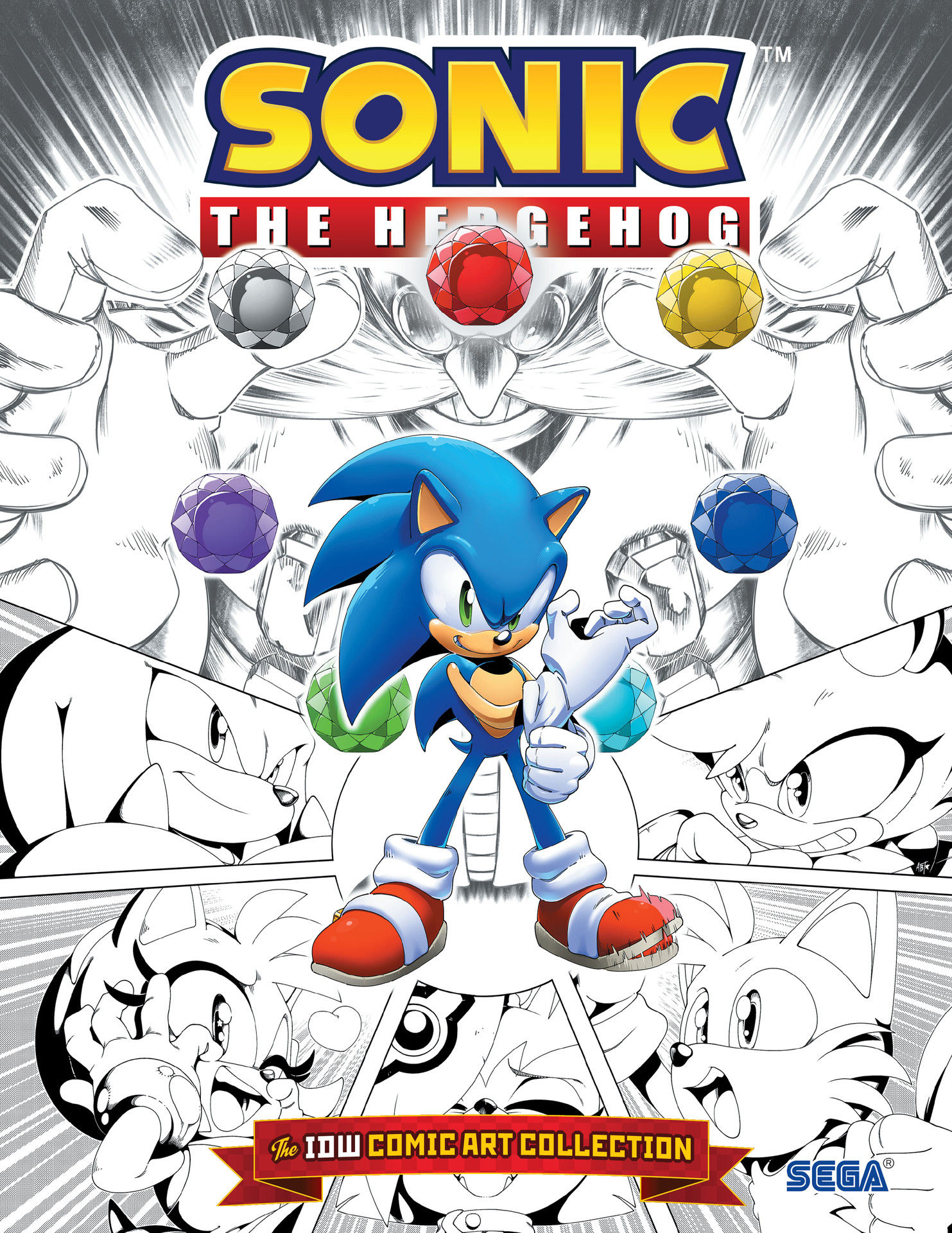 Sonic The Hedgehog: The IDW Comic Art Collection (2023): Chapter HC - Page 1