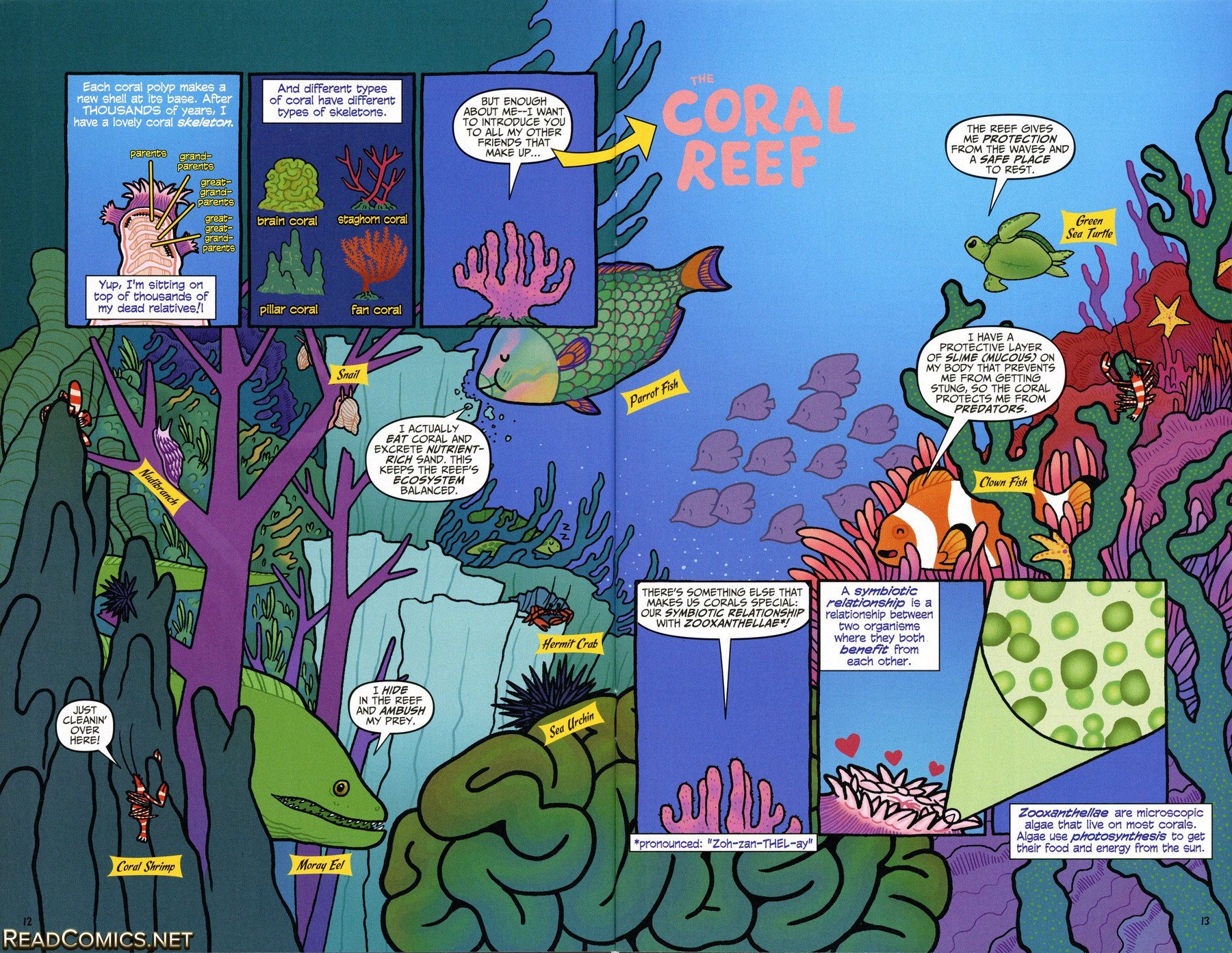 SpongeBob Comics (2011-): Chapter 22 - Page 14