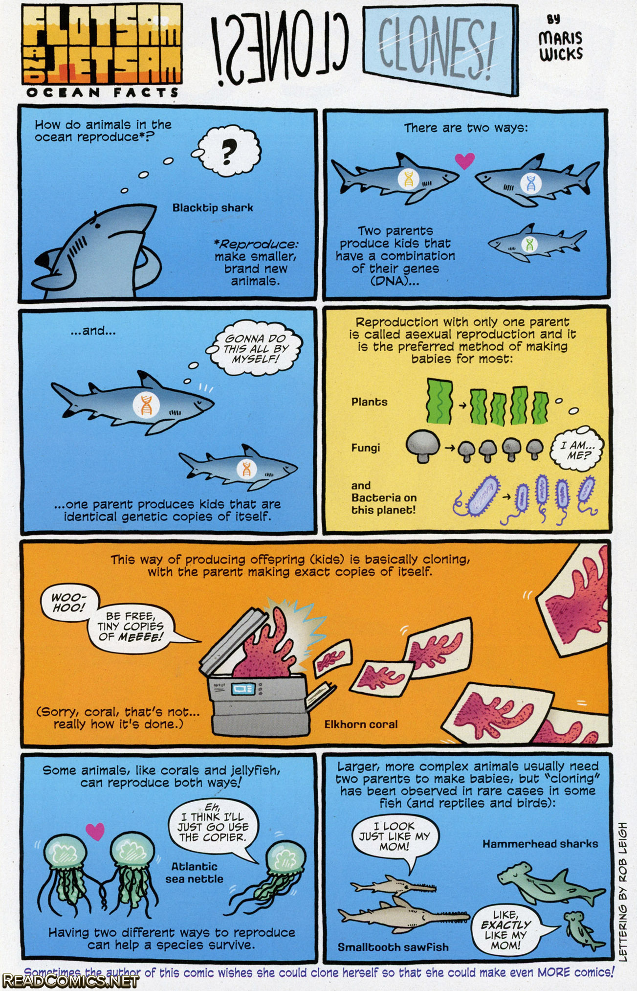 SpongeBob Comics (2011-): Chapter 54 - Page 22