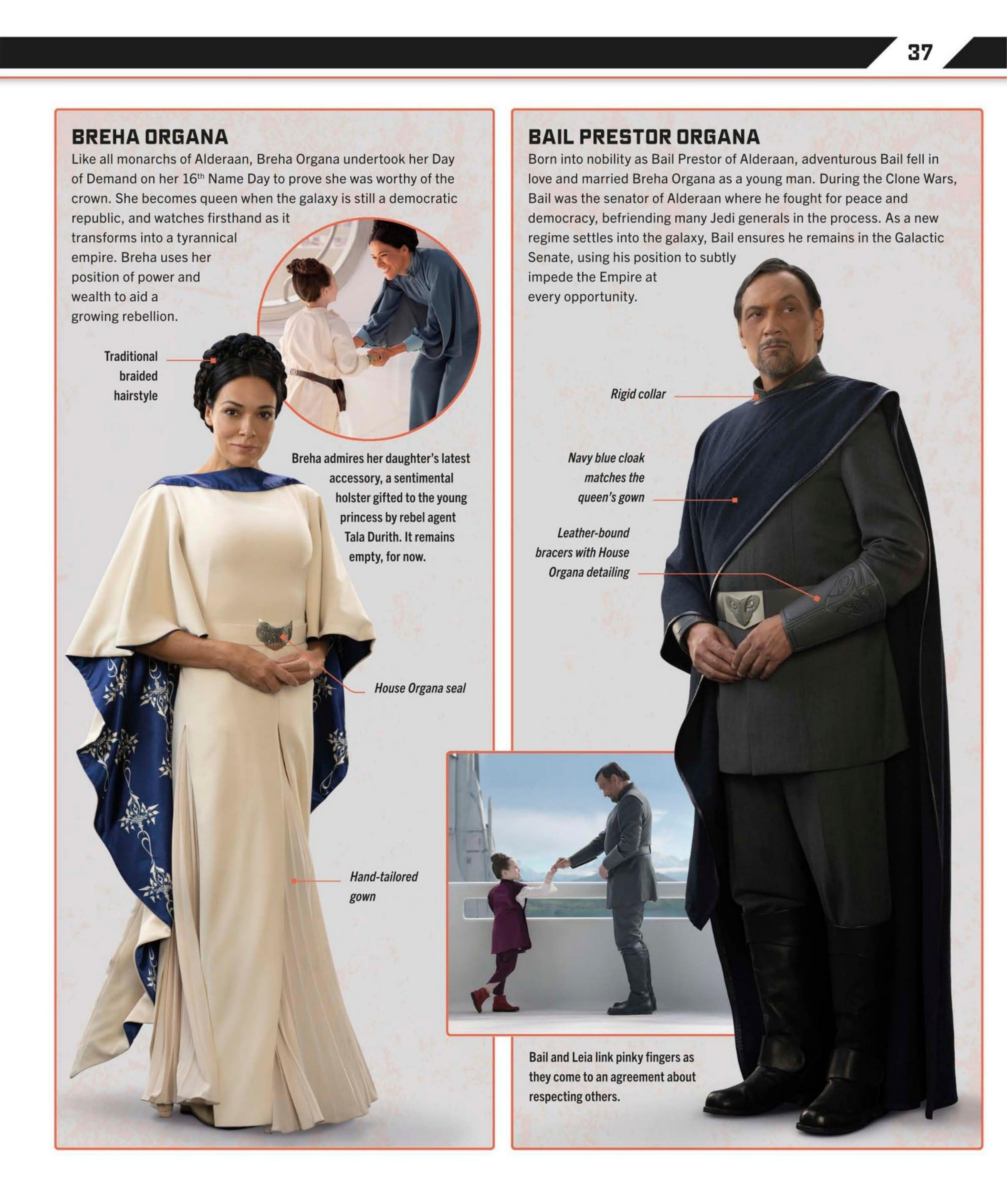 Star Wars Dawn of Rebellion The Visual Guide (2023) issue 1 - Page 39