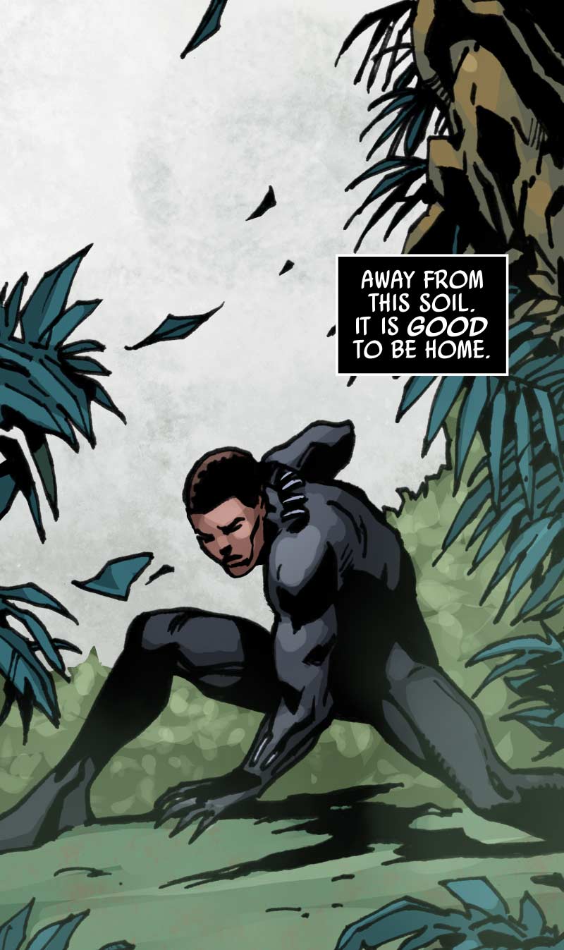 <{ $series->title }} issue Wakanda - Page 5