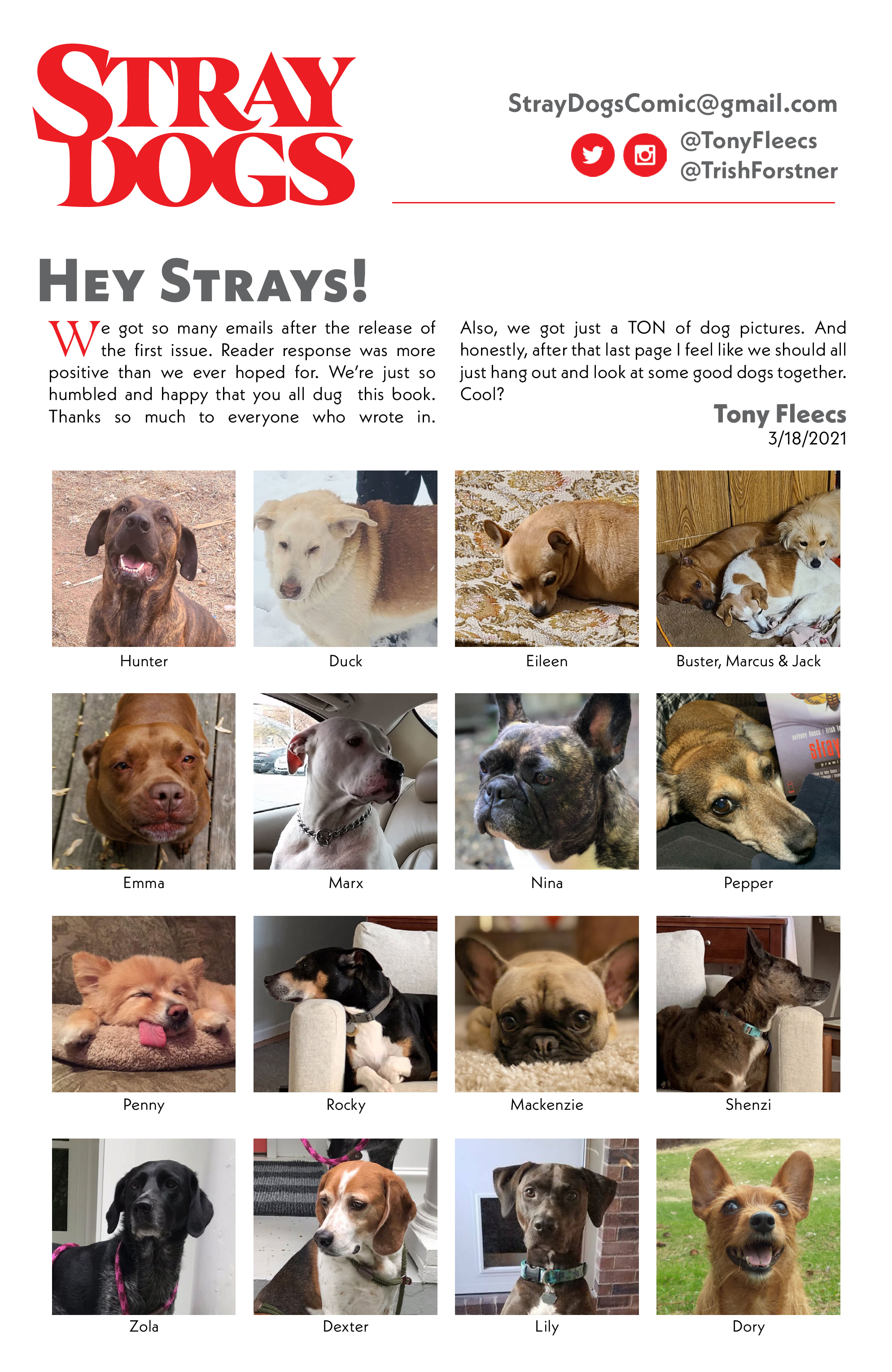 Stray Dogs (2021-): Chapter 3 - Page 26