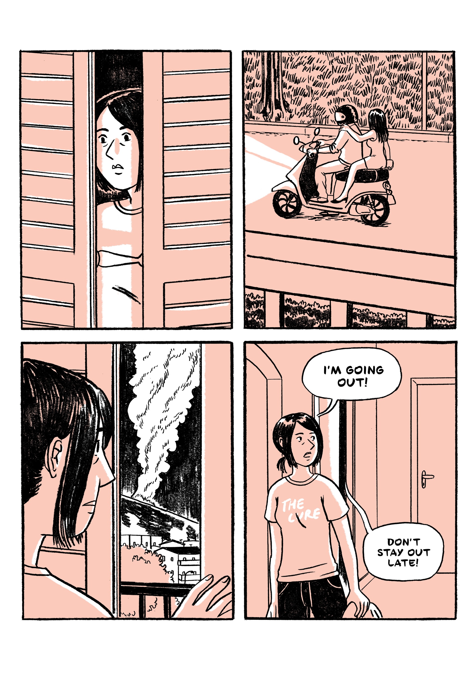 Summer Fires (2022): Chapter HC - Page 41