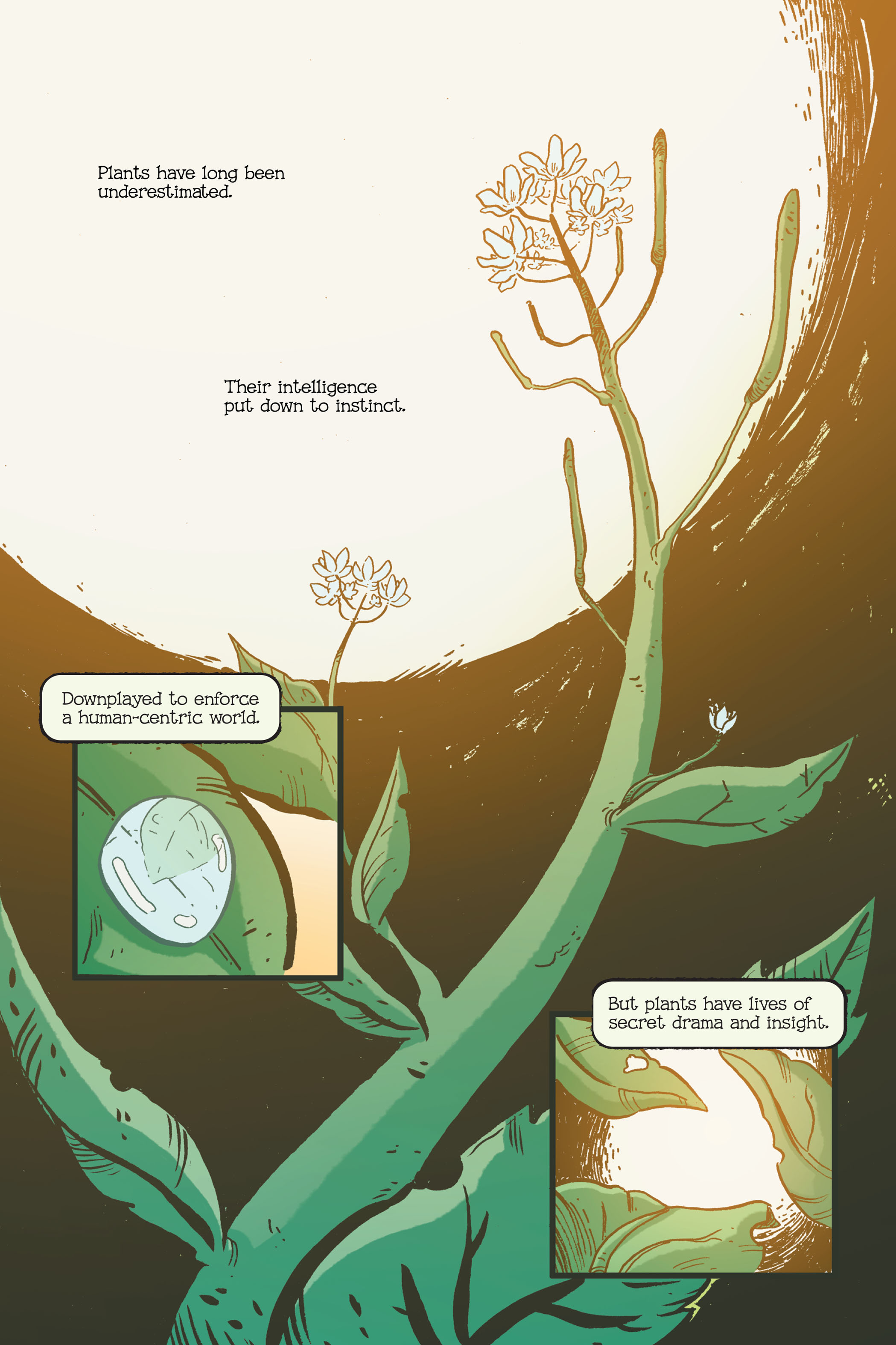 Swamp Thing: Twin Branches (2020) issue 1 - Page 6