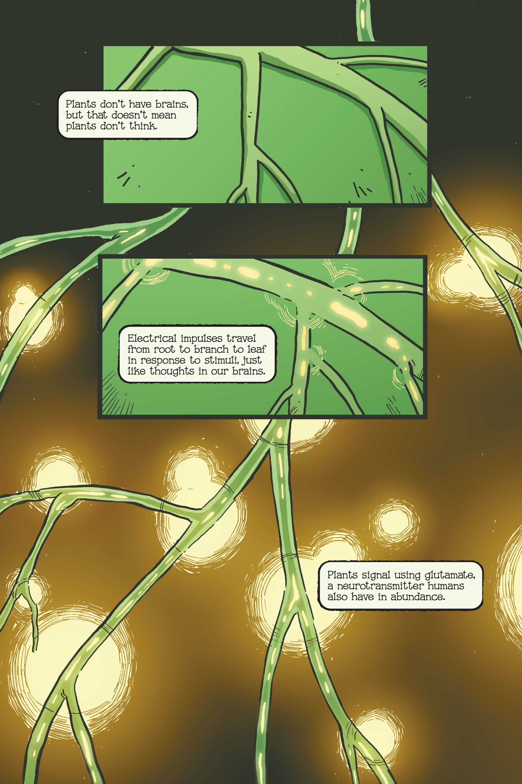 Swamp Thing: Twin Branches (2020) issue 1 - Page 101