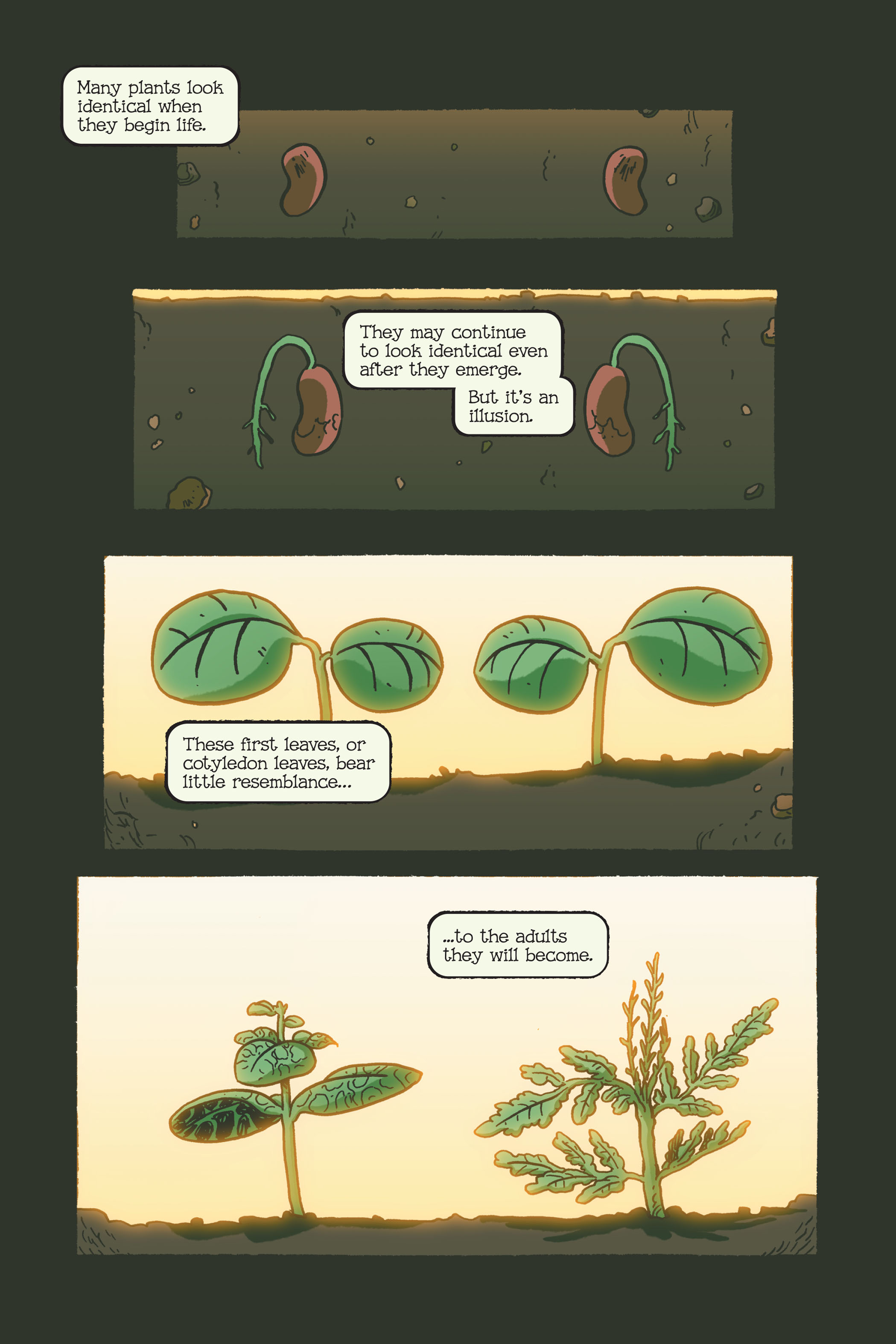 Swamp Thing: Twin Branches (2020) issue 1 - Page 136