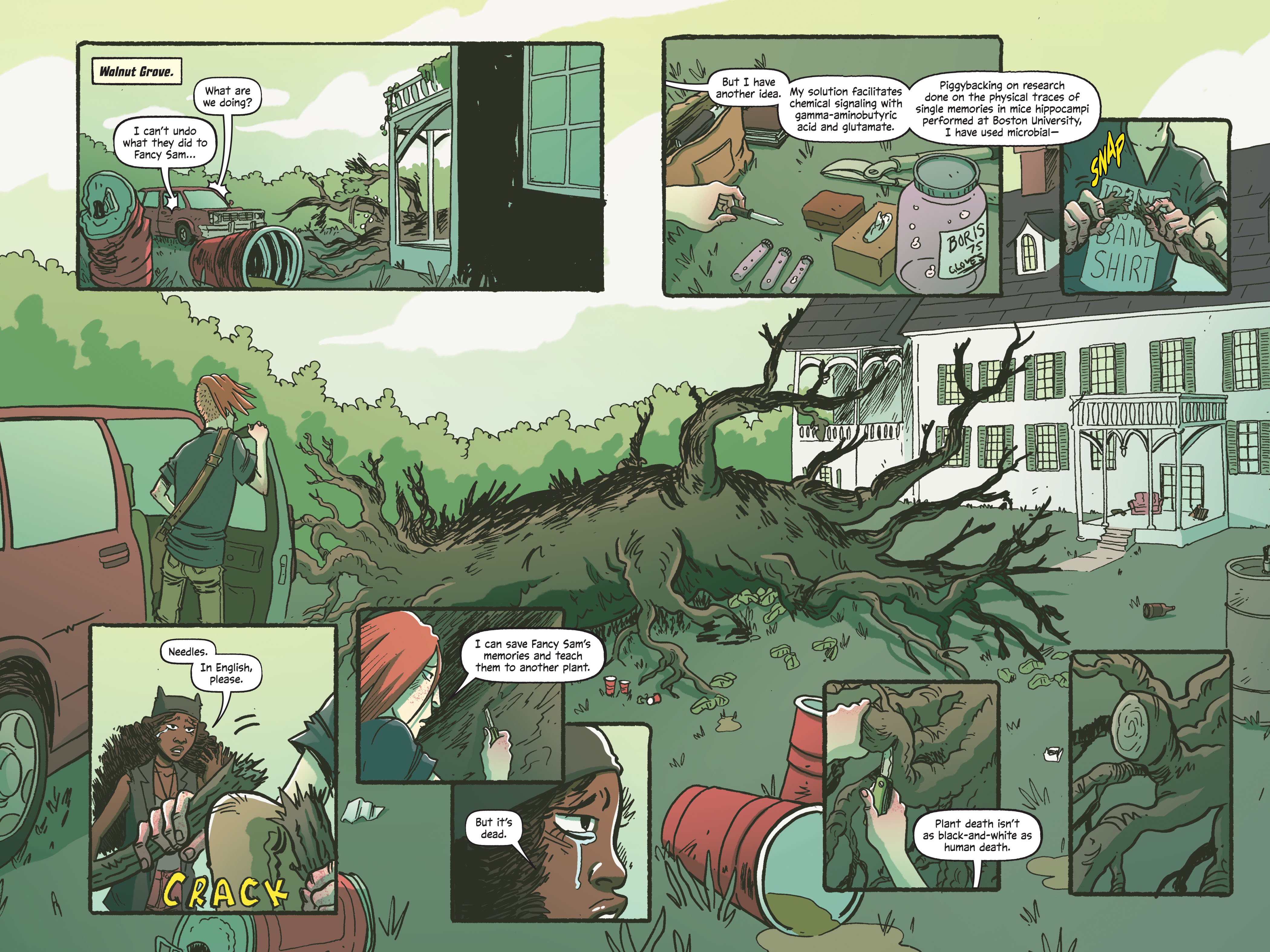 Swamp Thing: Twin Branches (2020) issue 1 - Page 146