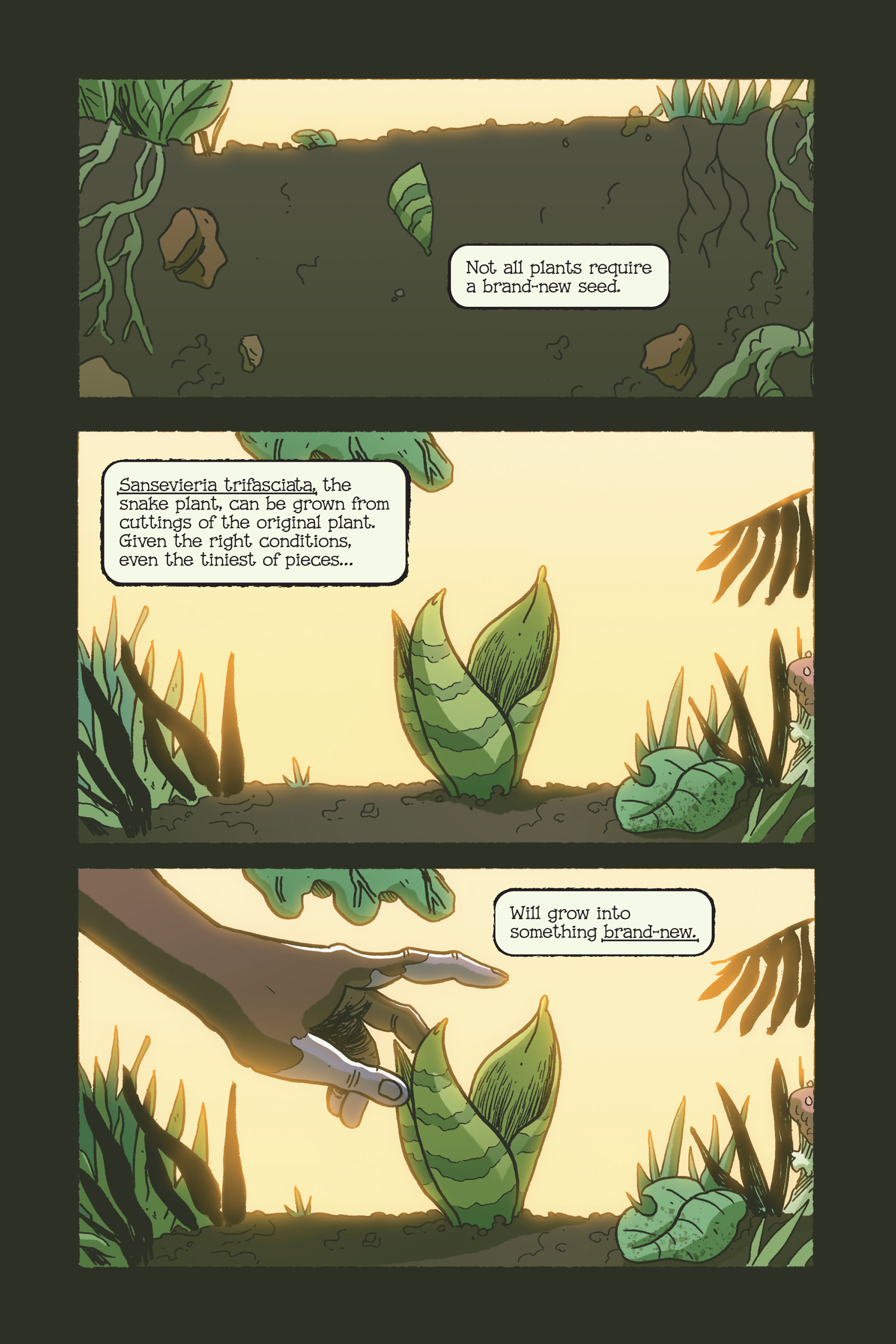 Swamp Thing: Twin Branches (2020) issue 1 - Page 175