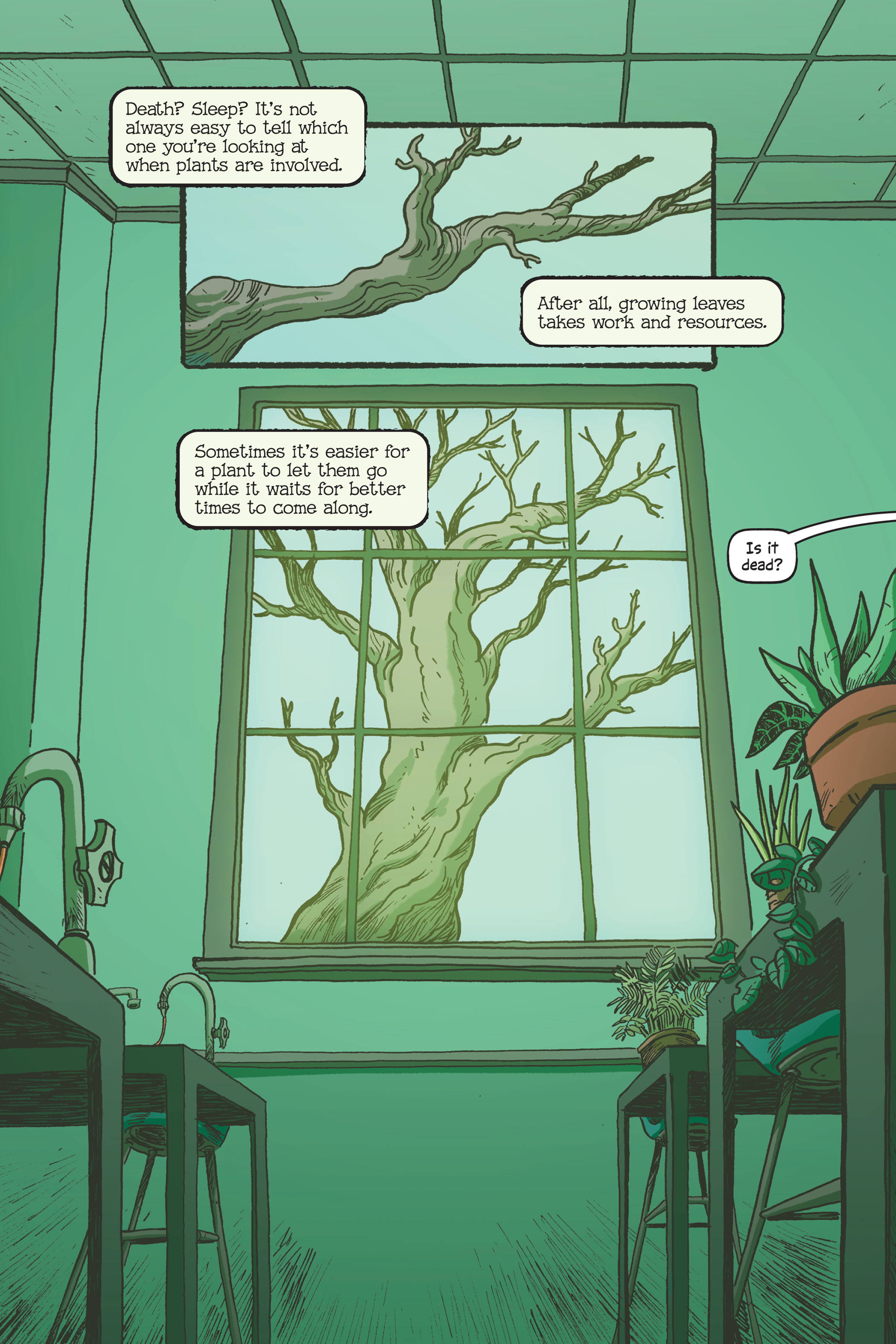 Swamp Thing: Twin Branches (2020) issue 1 - Page 80