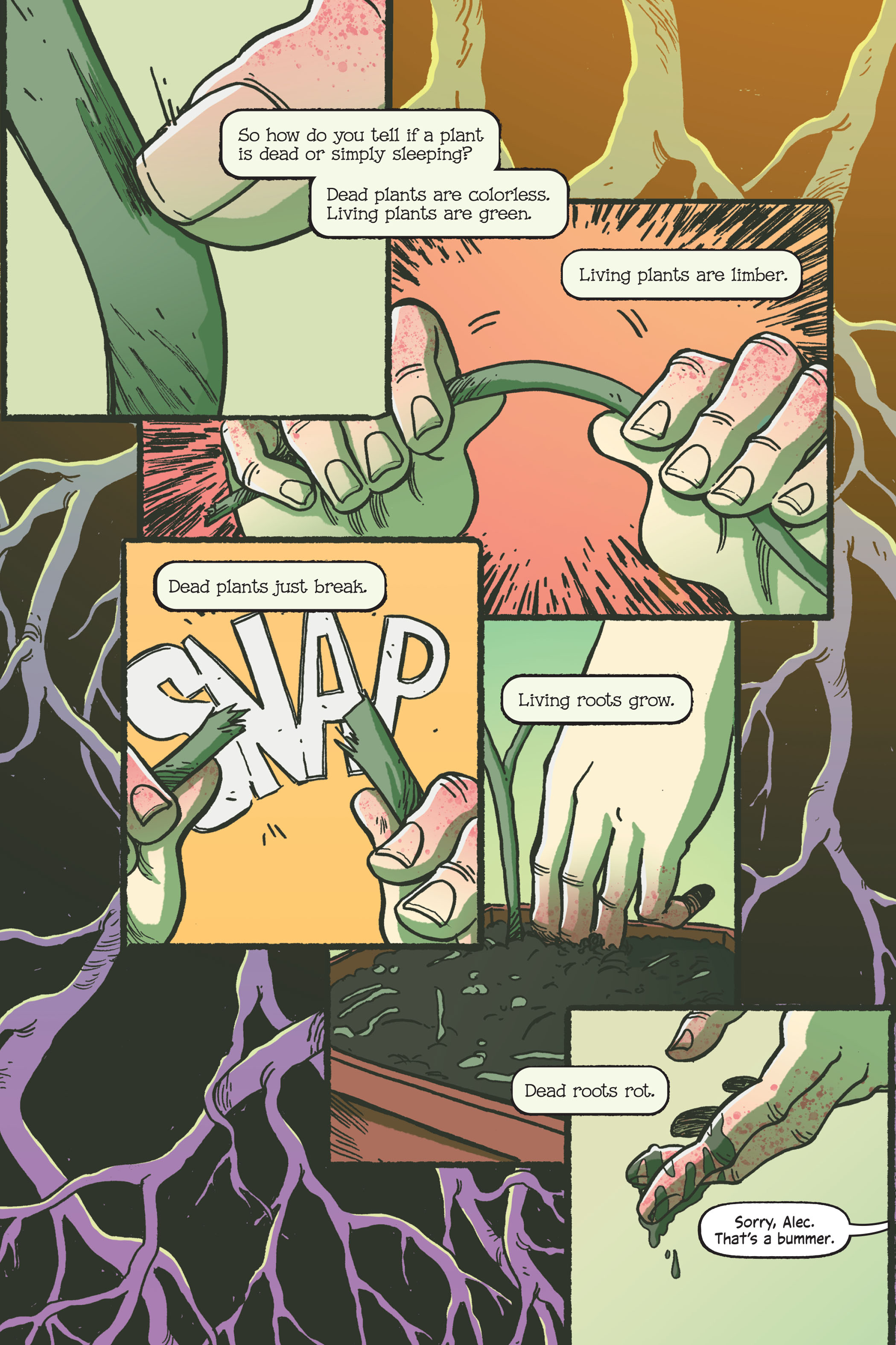 Swamp Thing: Twin Branches (2020) issue 1 - Page 81