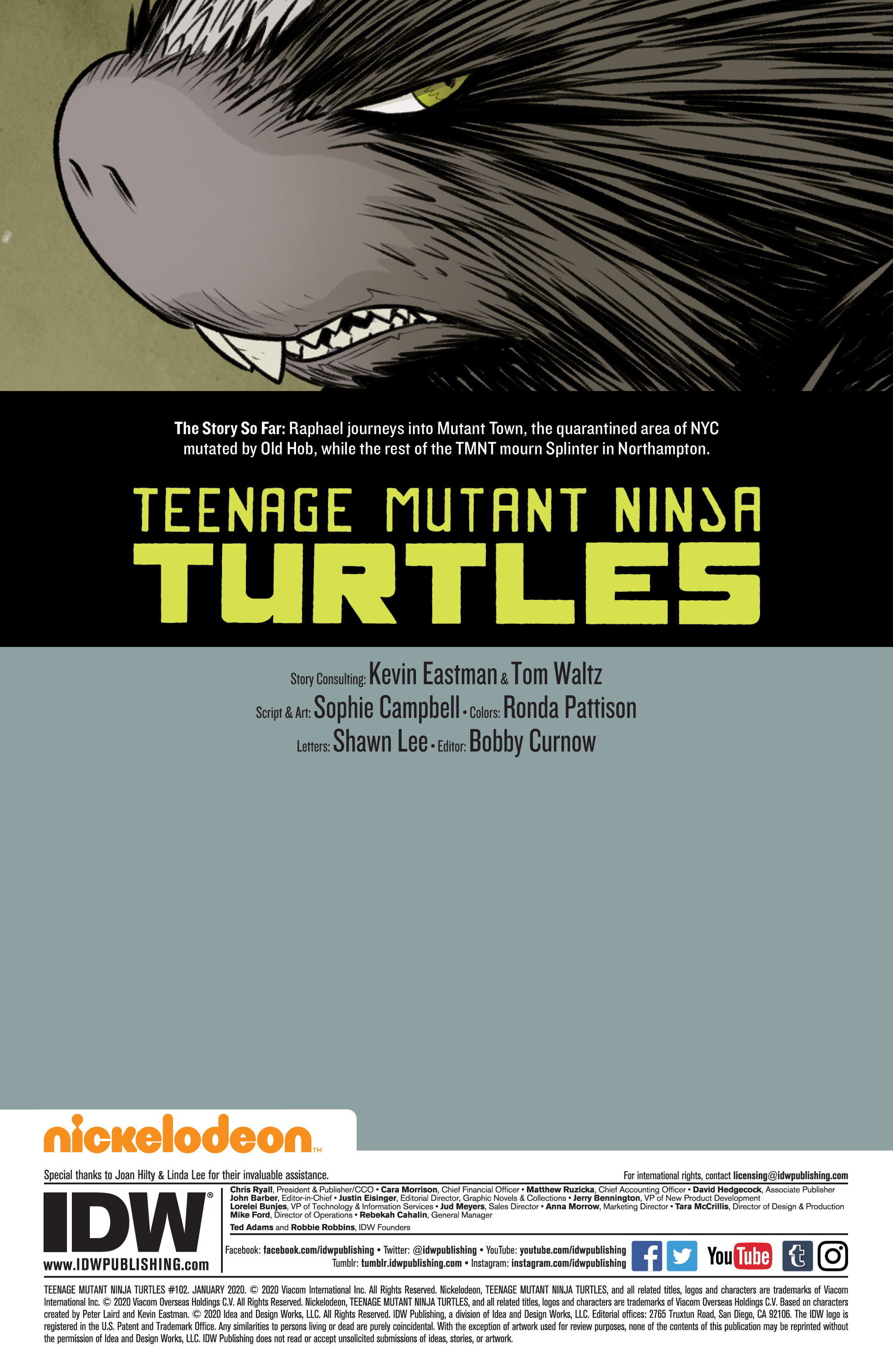 Teenage Mutant Ninja Turtles (2011-): Chapter 102 - Page 2