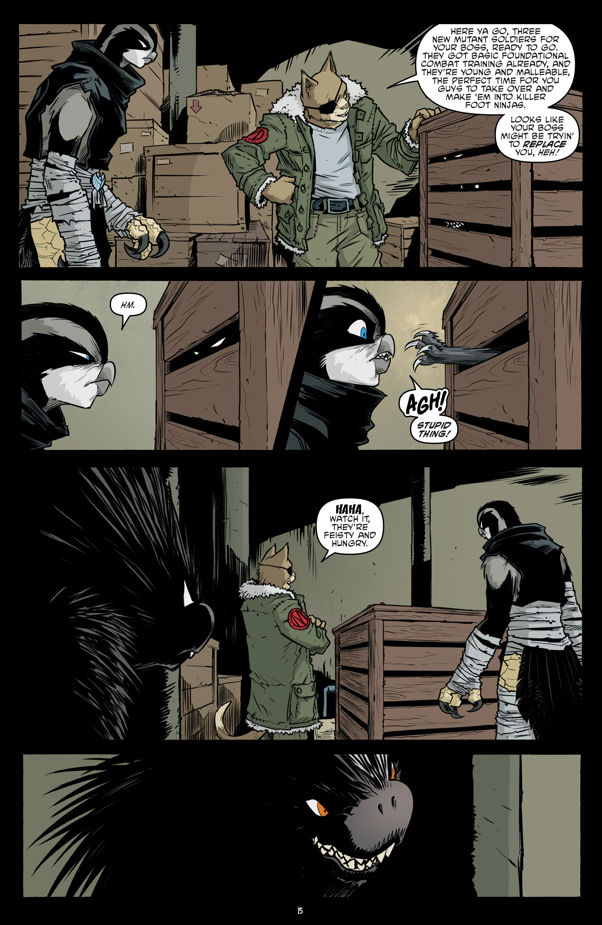 Teenage Mutant Ninja Turtles (2011-) issue 102 - Page 17