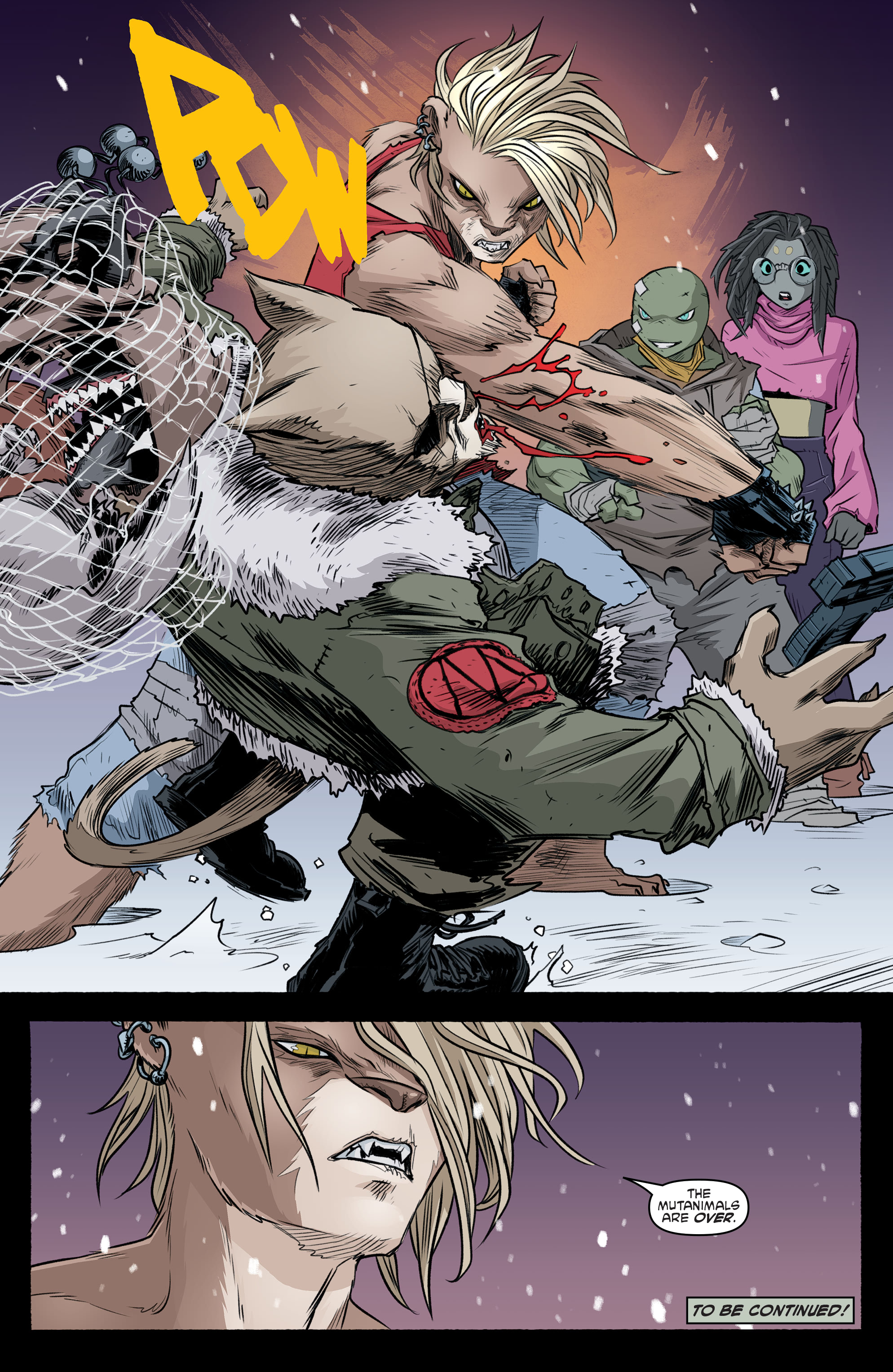 Teenage Mutant Ninja Turtles (2011-) issue 103 - Page 22