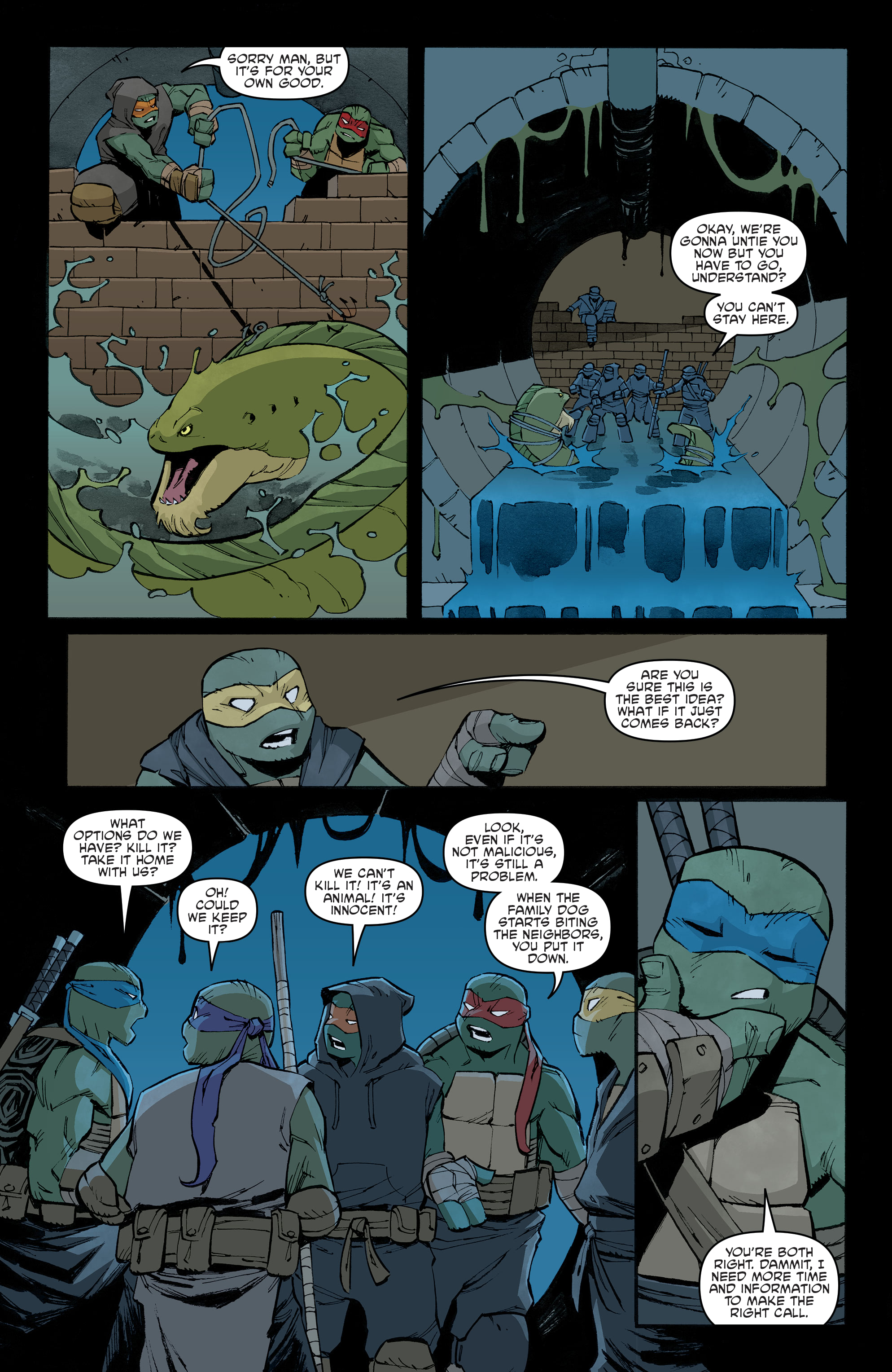 Teenage Mutant Ninja Turtles (2011-) issue 108 - Page 18