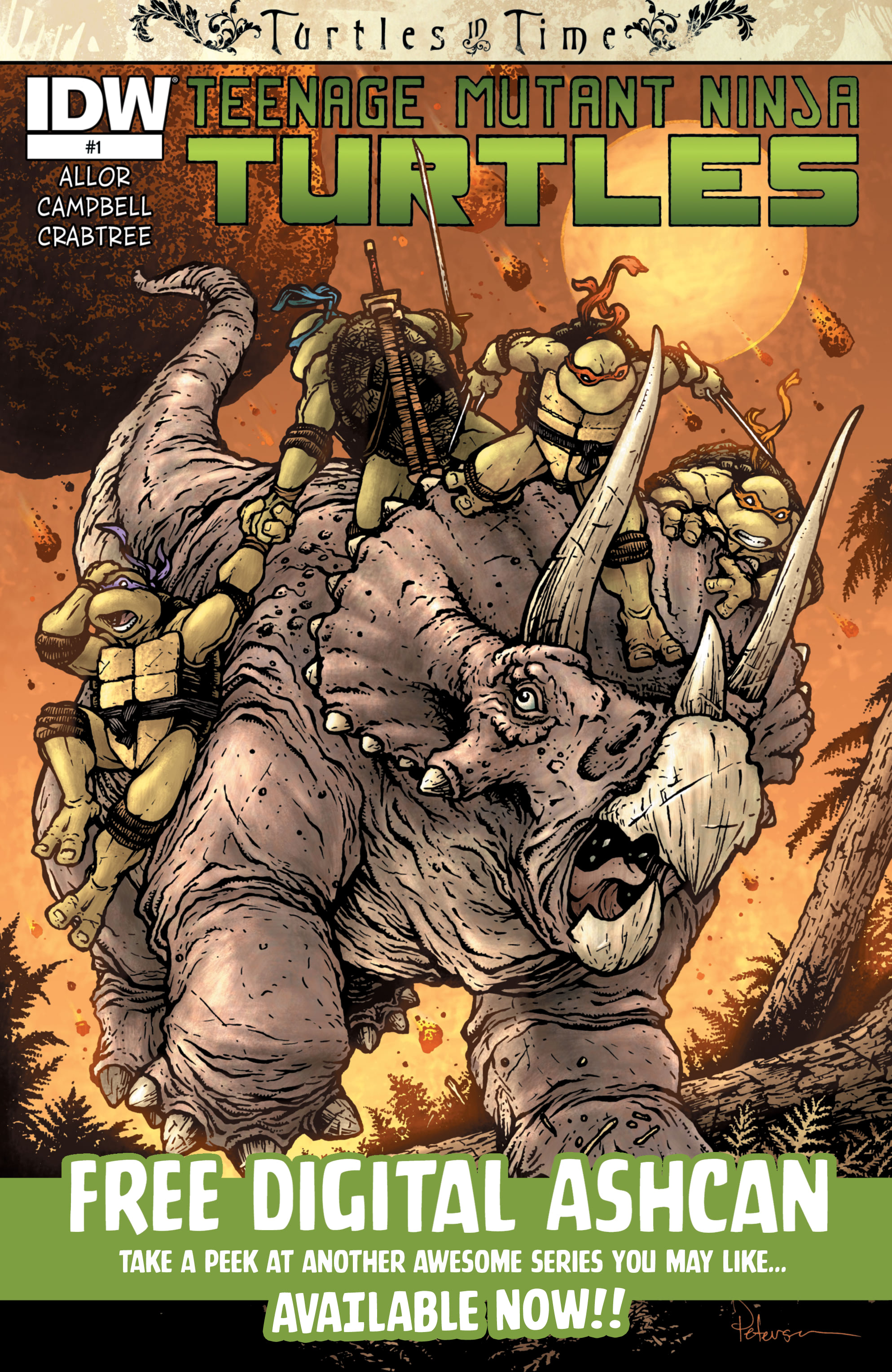 Teenage Mutant Ninja Turtles (2011-) issue 109 - Page 25